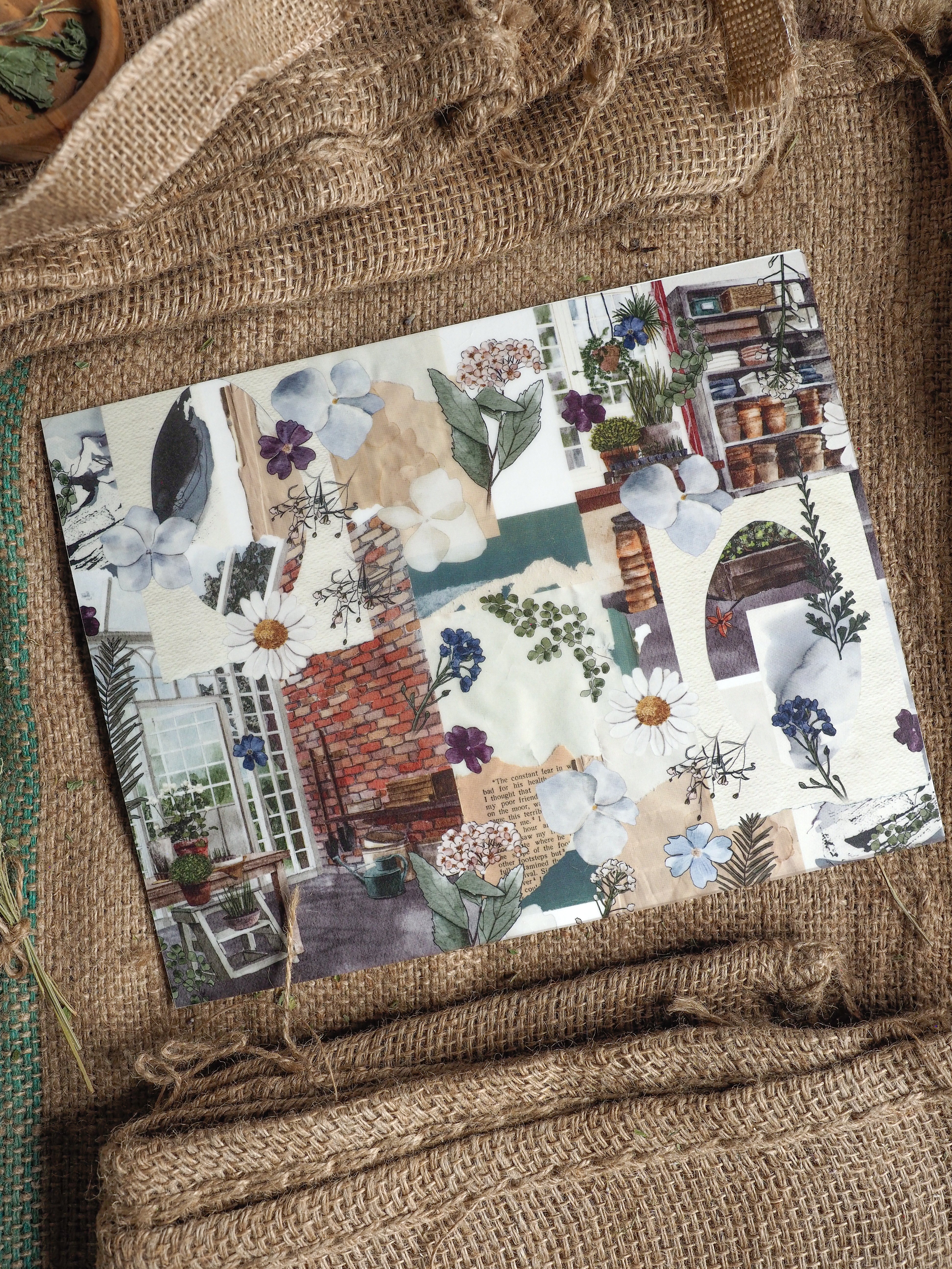Collage-style floral illustration sheet featuring rustic brick architecture, arched windows, and detailed white and blue pressed flowers.