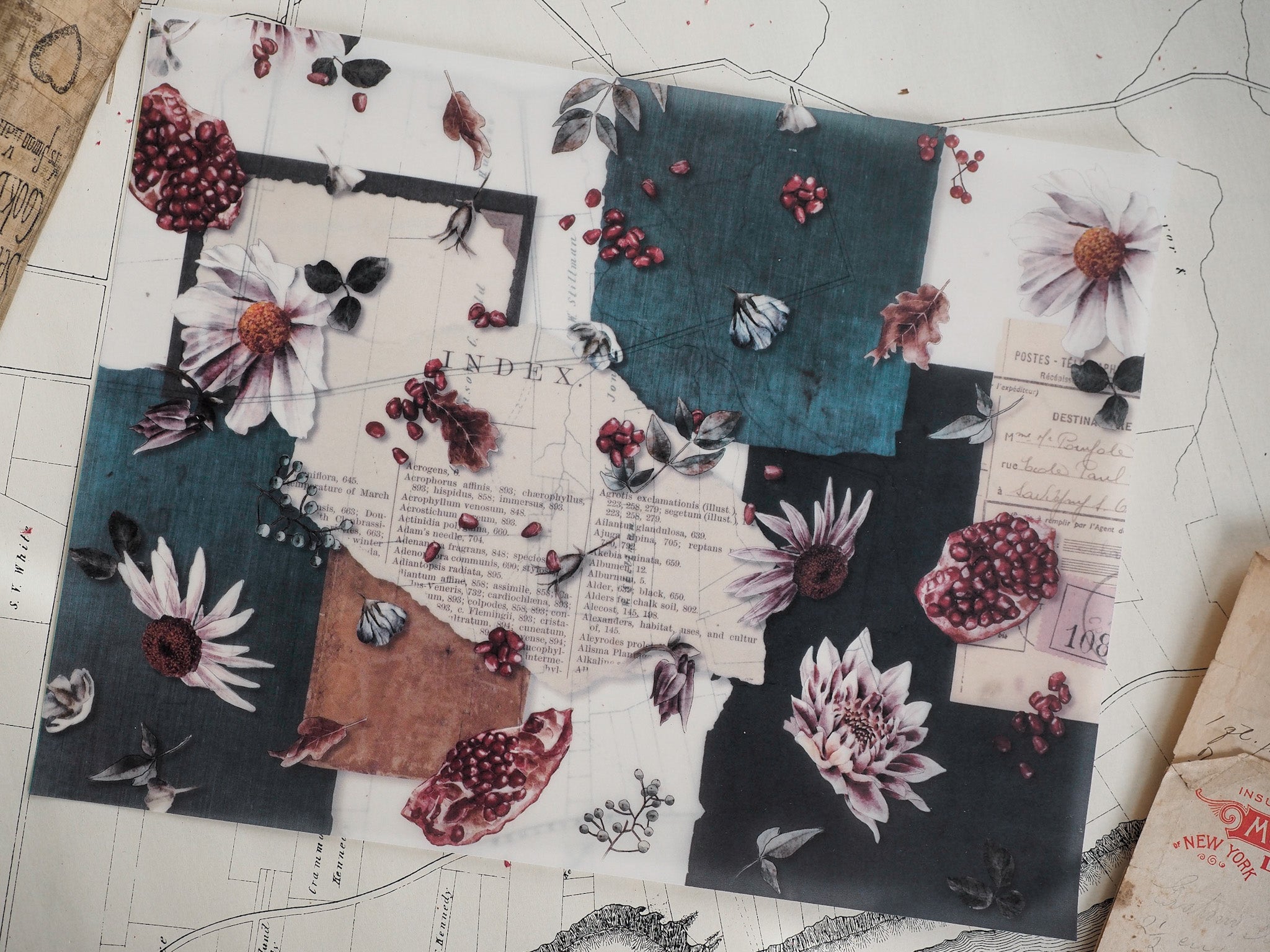 Vintage botanical collection featuring detailed pressed flower illustrations, clusters of deep red berries, and scientific index diagrams printed on sepia-toned paper.