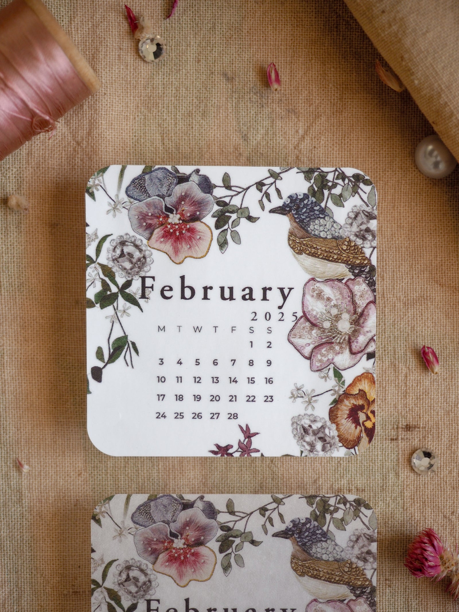 A decorative monthly calendar for February 2025, featuring soft watercolor florals and a naturalistic illustration of a brown songbird.