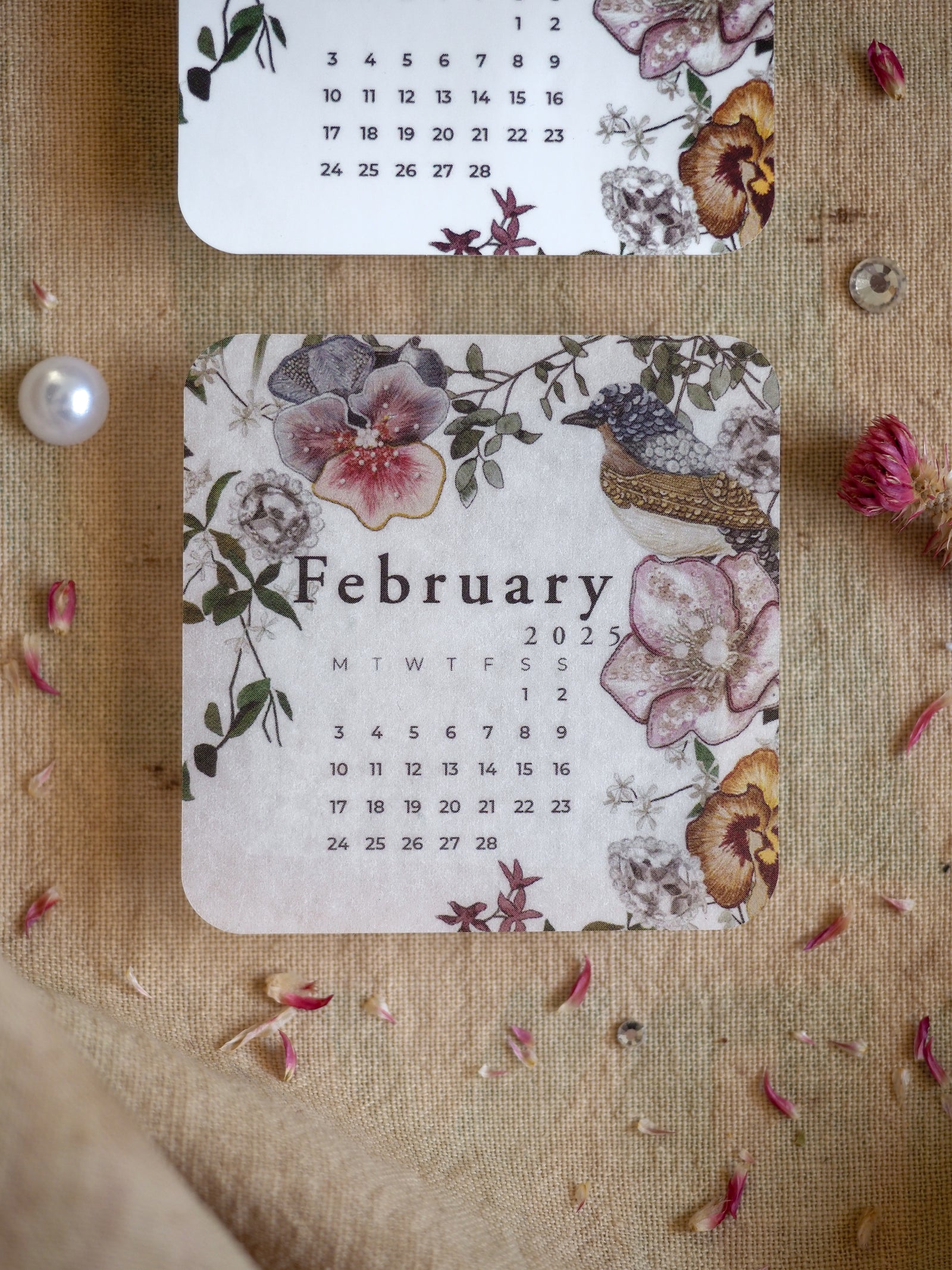 A beautiful botanical calendar sticker for February 2025, featuring watercolor illustrations of pink blossoms, lush green foliage, and a detailed bird motif.