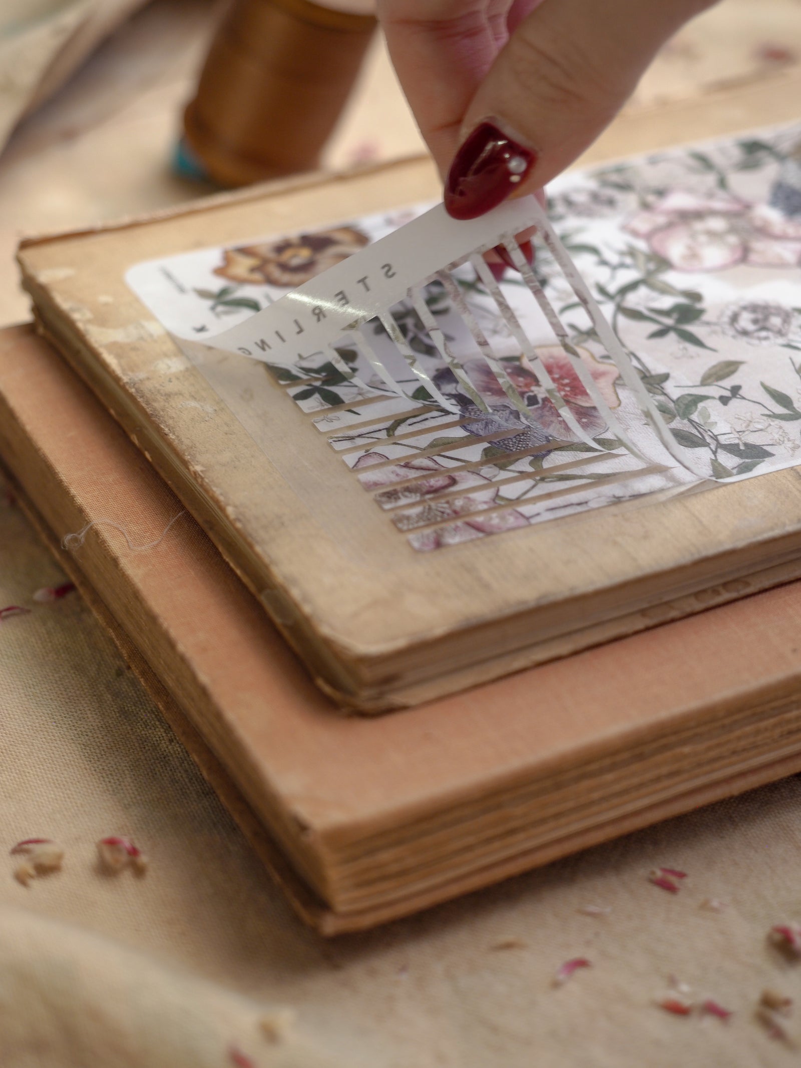 Pale strip stickers featuring an intricate, vintage botanical design with delicate cream and muted green floral elements.