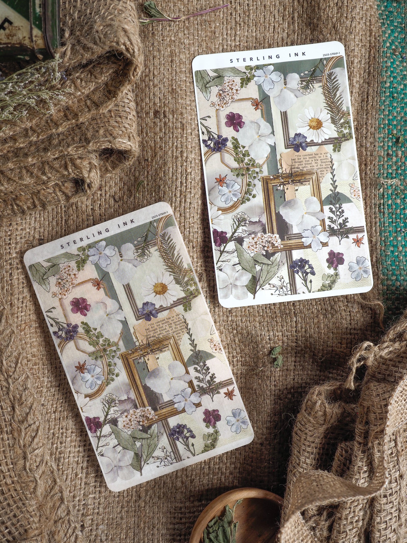 Botanical sticker strips for March 2025, featuring muted watercolor drawings of white and purple flowers, detailed leaves, and ornate antique picture frames.
