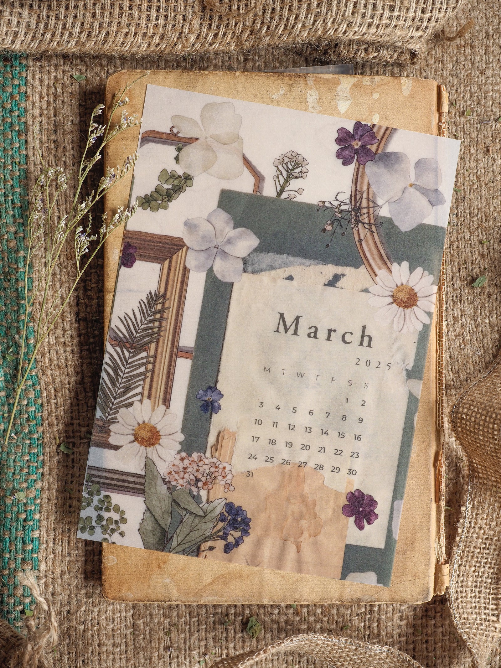 A decorative B6 monthly calendar page for March 2025, featuring a rustic design with muted floral illustrations in shades of white, purple, and green.