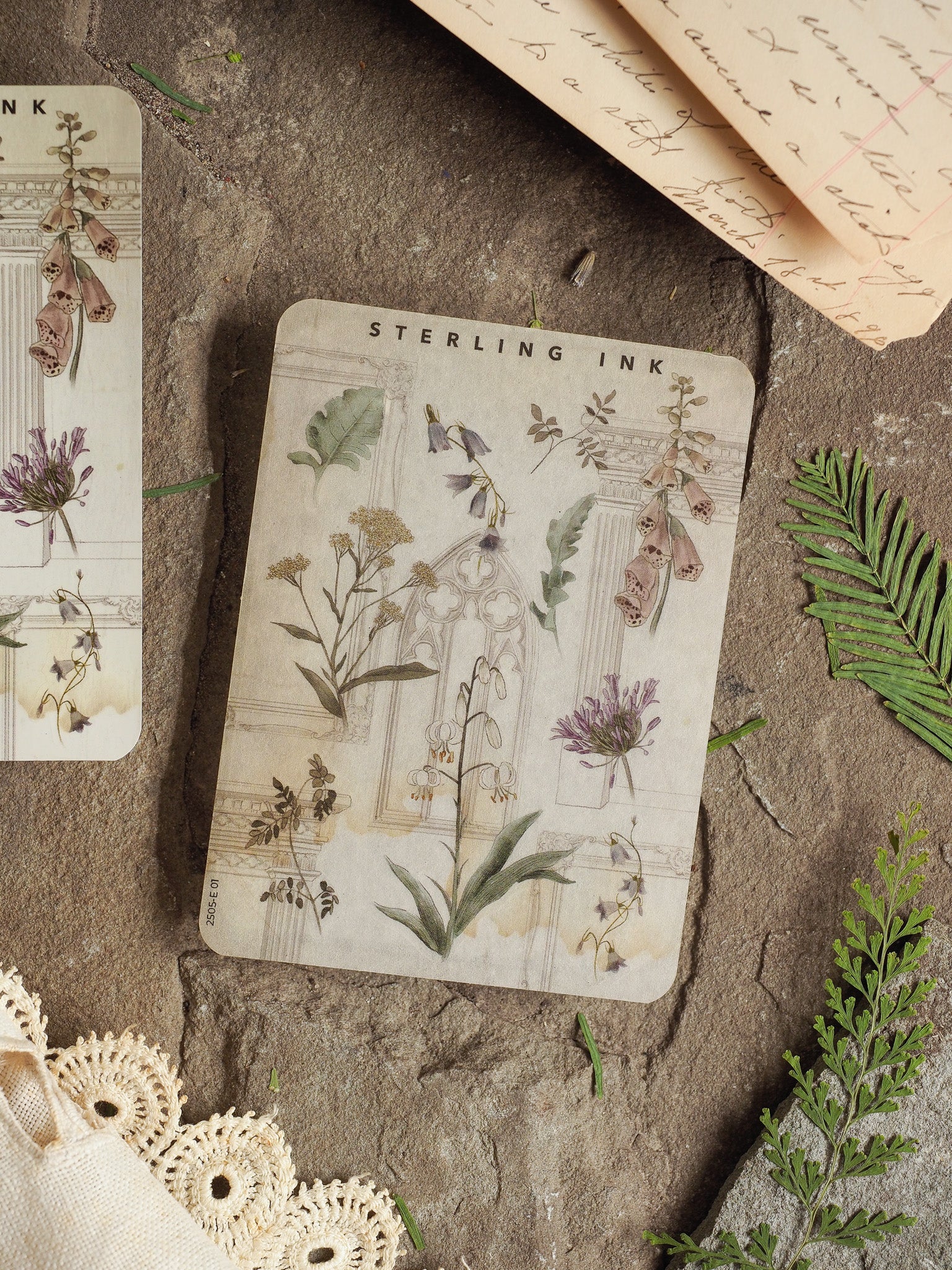 Delicate elements sticker showcasing vintage botanical illustrations of mixed wildflowers and leaves in muted tones on aged cream paper.