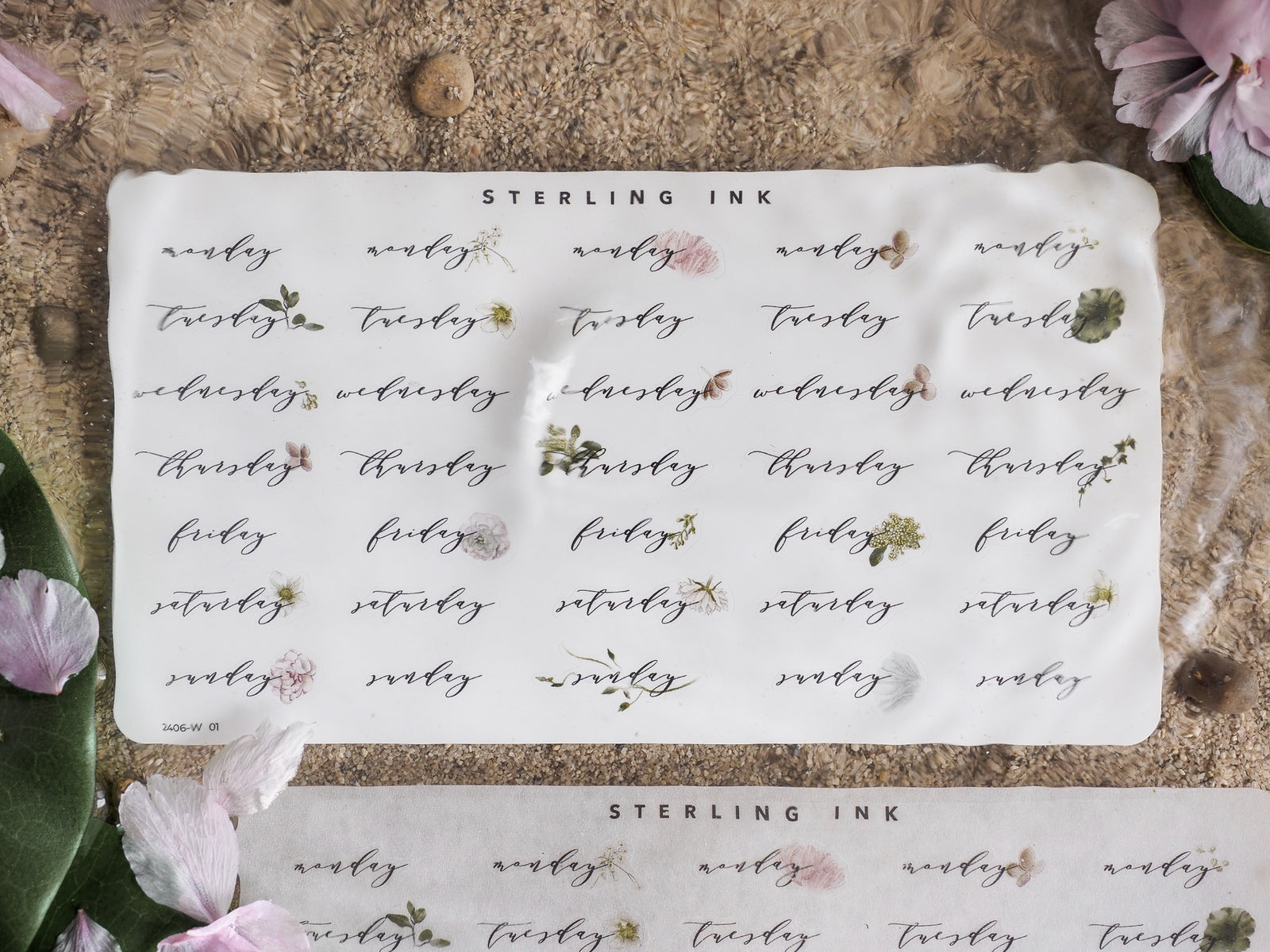 Planner sticker sheet for June 2024 featuring elegant script of the days of the week accented with delicate floral illustrations.