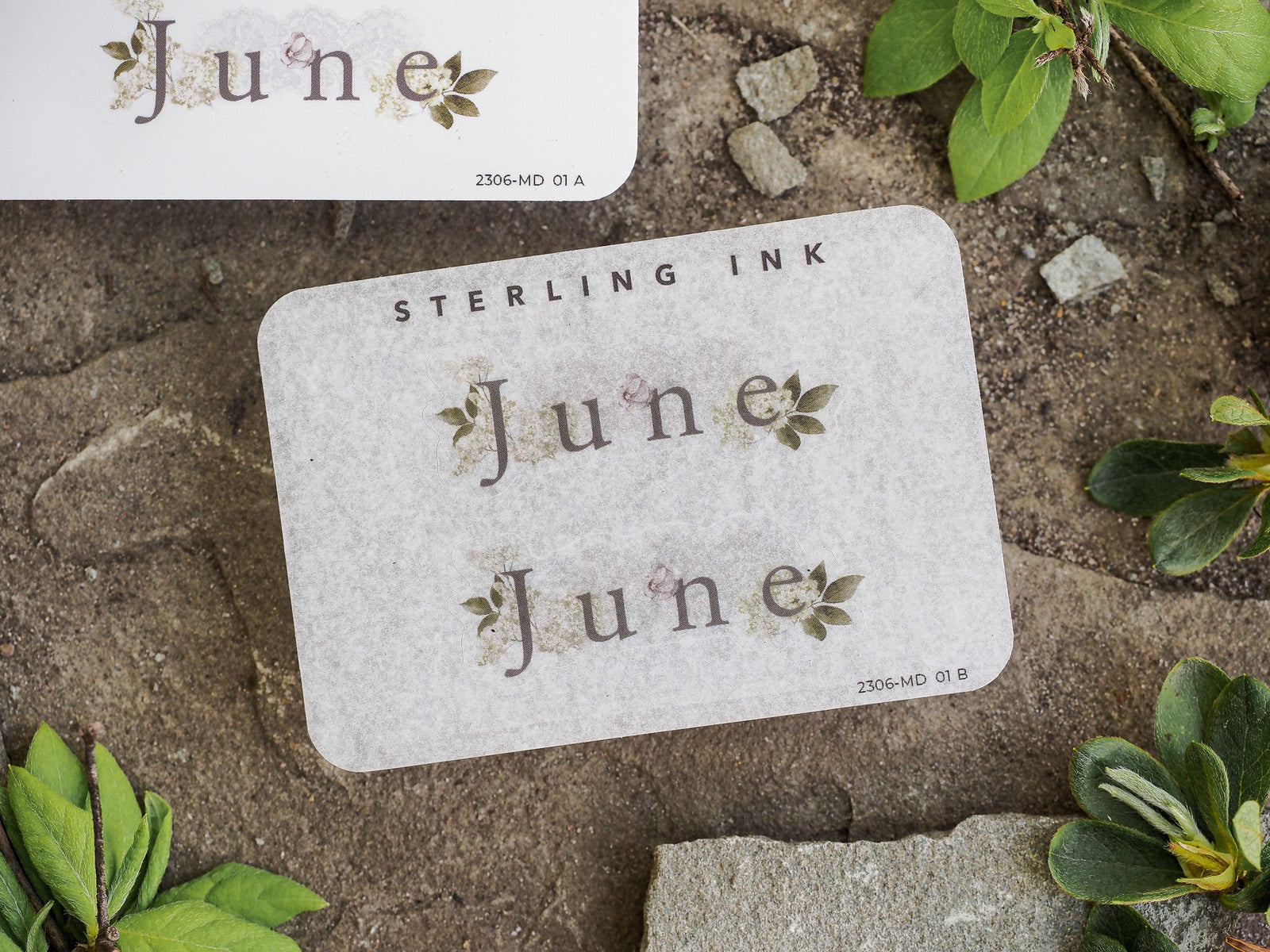 Cream-colored sticker sheets featuring the word "June" in elegant script lettering, accompanied by delicate, nature-inspired leaf illustrations.