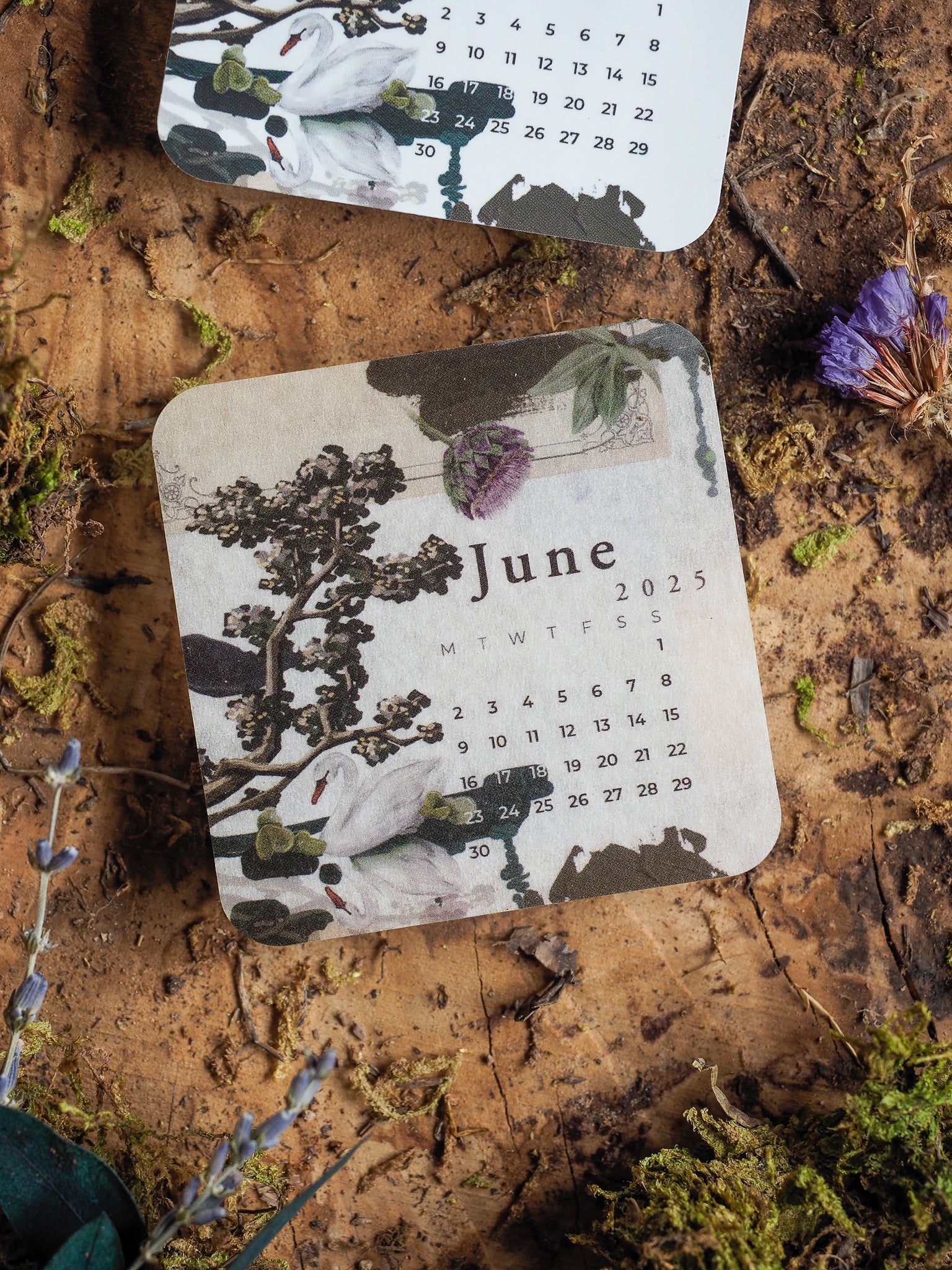 Vintage June 2025 calendar sticker featuring an elegant botanical design with detailed illustrations of trees and flowers in muted, earthy tones.