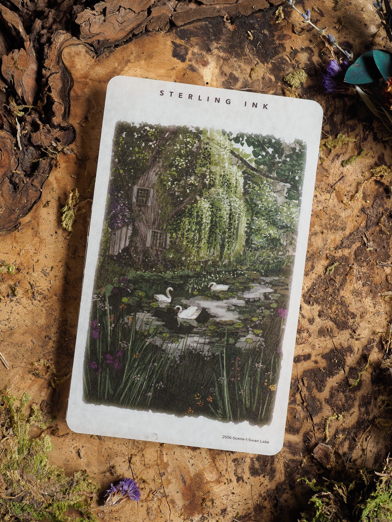 Vintage sticker featuring a lush, detailed scene of Swan Lake, showcasing graceful swans gliding across a pond surrounded by overgrown, dark green foliage.