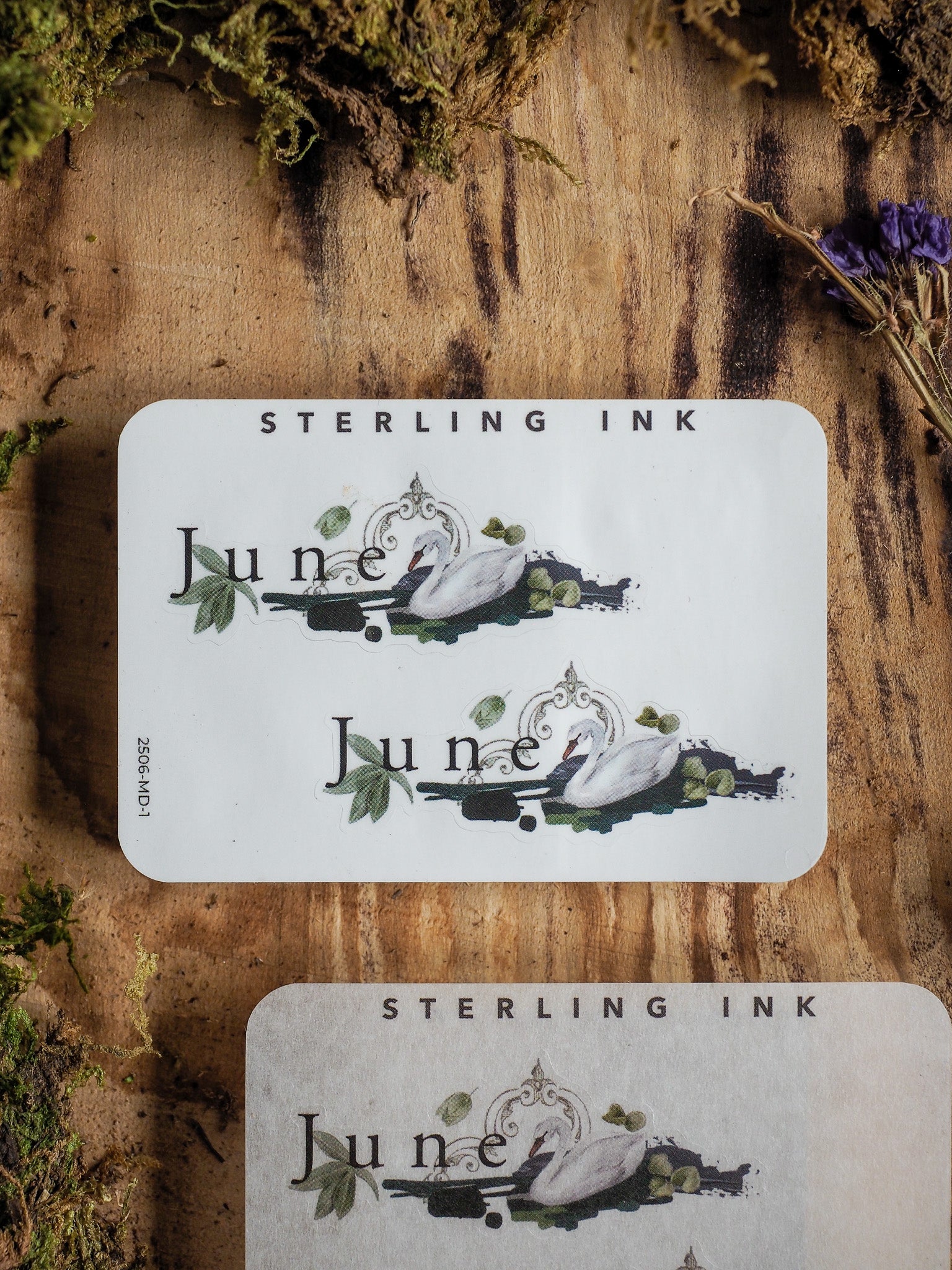 Elegant 'June' month sticker featuring sophisticated green watercolor botanicals and crisp black calligraphy perfect for journaling or planners.
