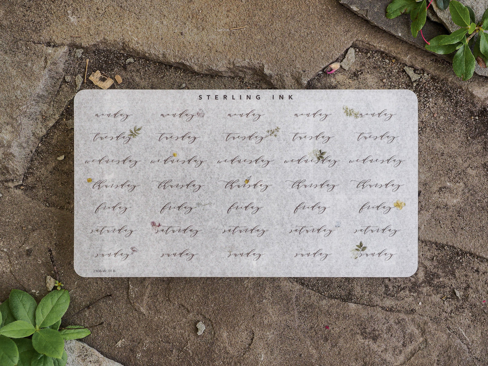 Creamy planner sticker sheet featuring a weekly calendar layout for June 2023, decorated with delicate floral accents and labeled for every weekday.
