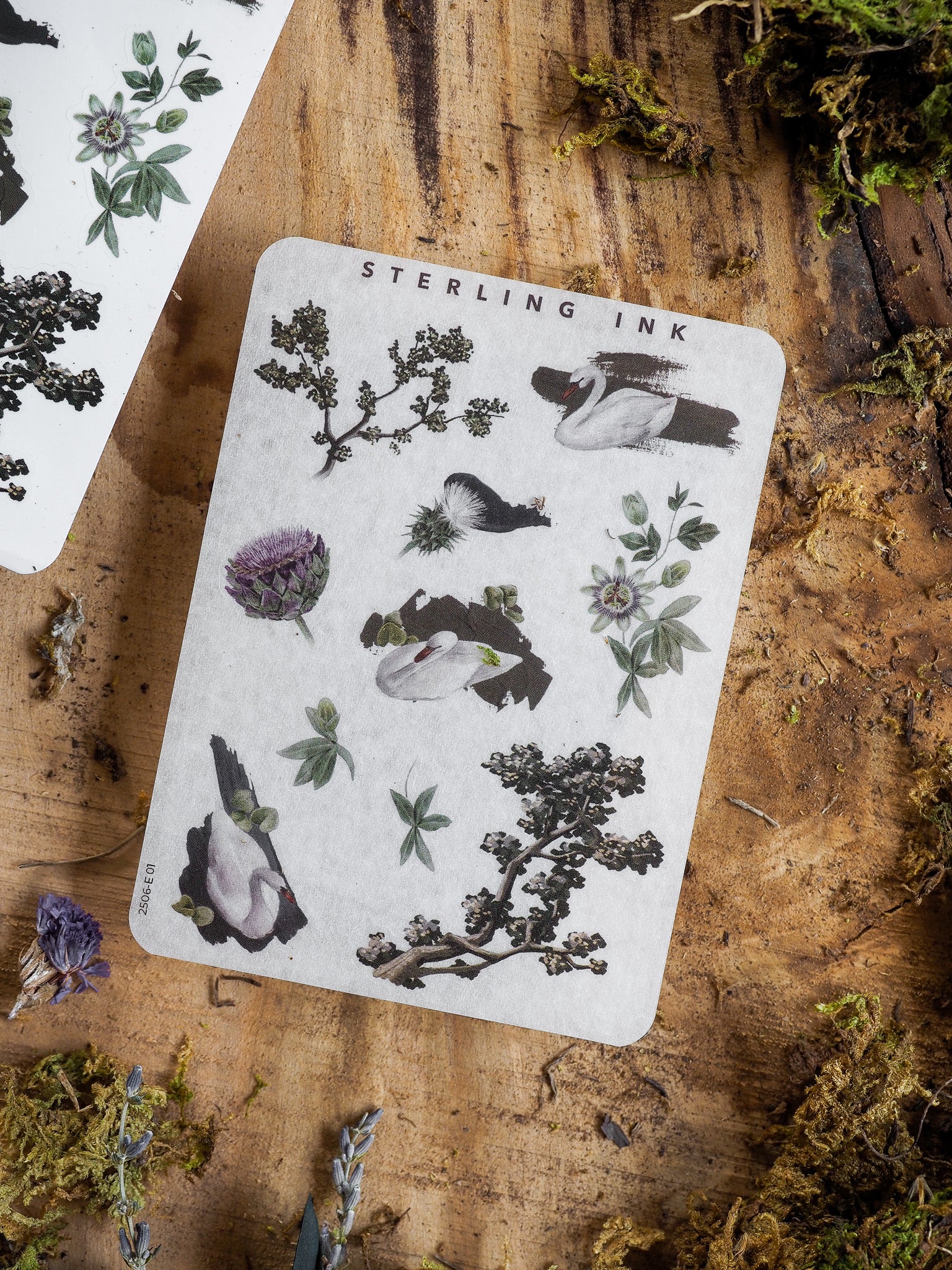 Sterling Ink sticker set displaying delicate black line art of various botanicals, birds, and natural elements.