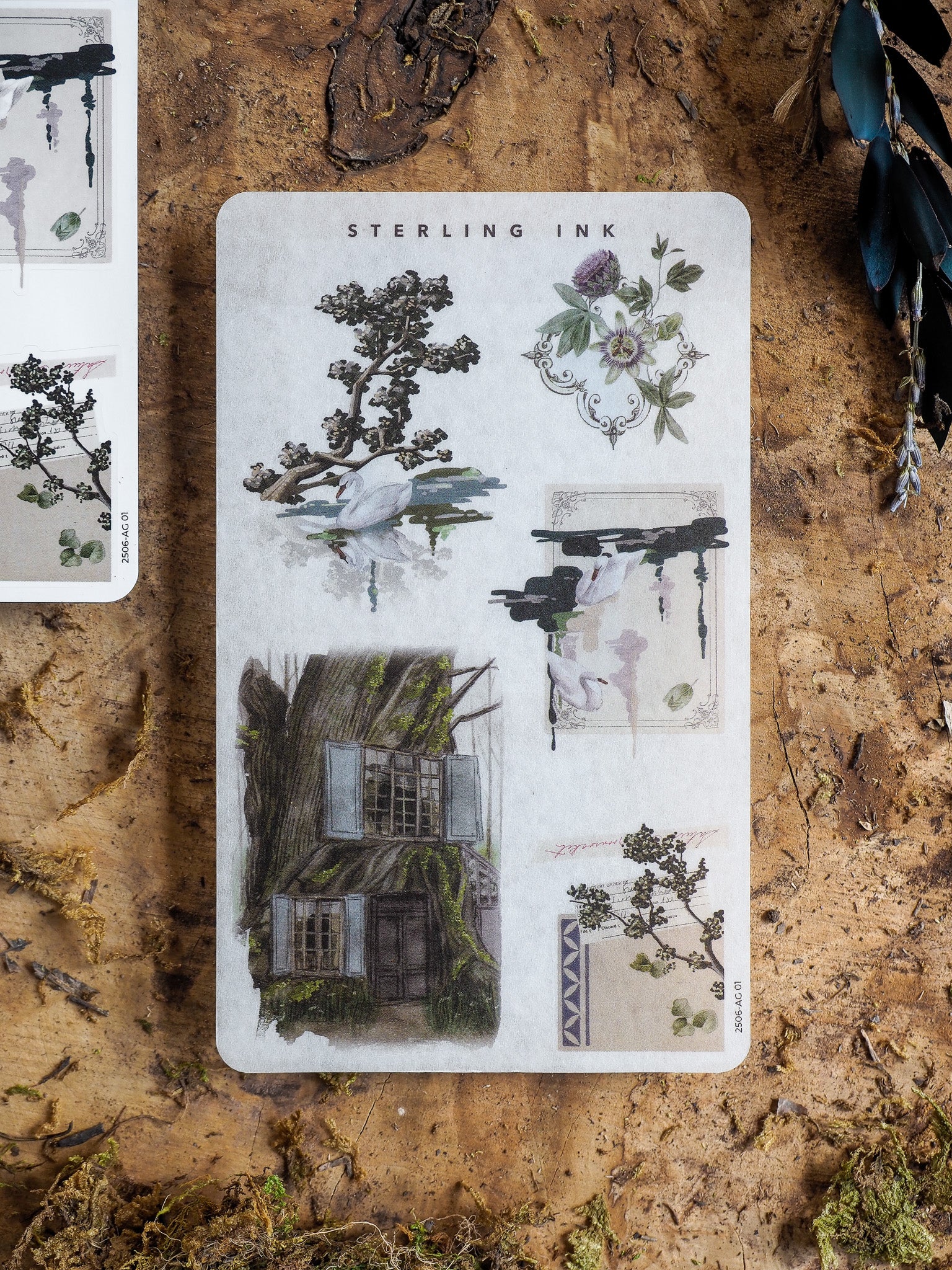 Vintage "Arrangement Stickers - June 2025" featuring various botanical illustrations, delicate watercolor florals, and architectural sketches in muted, sepia ink tones.