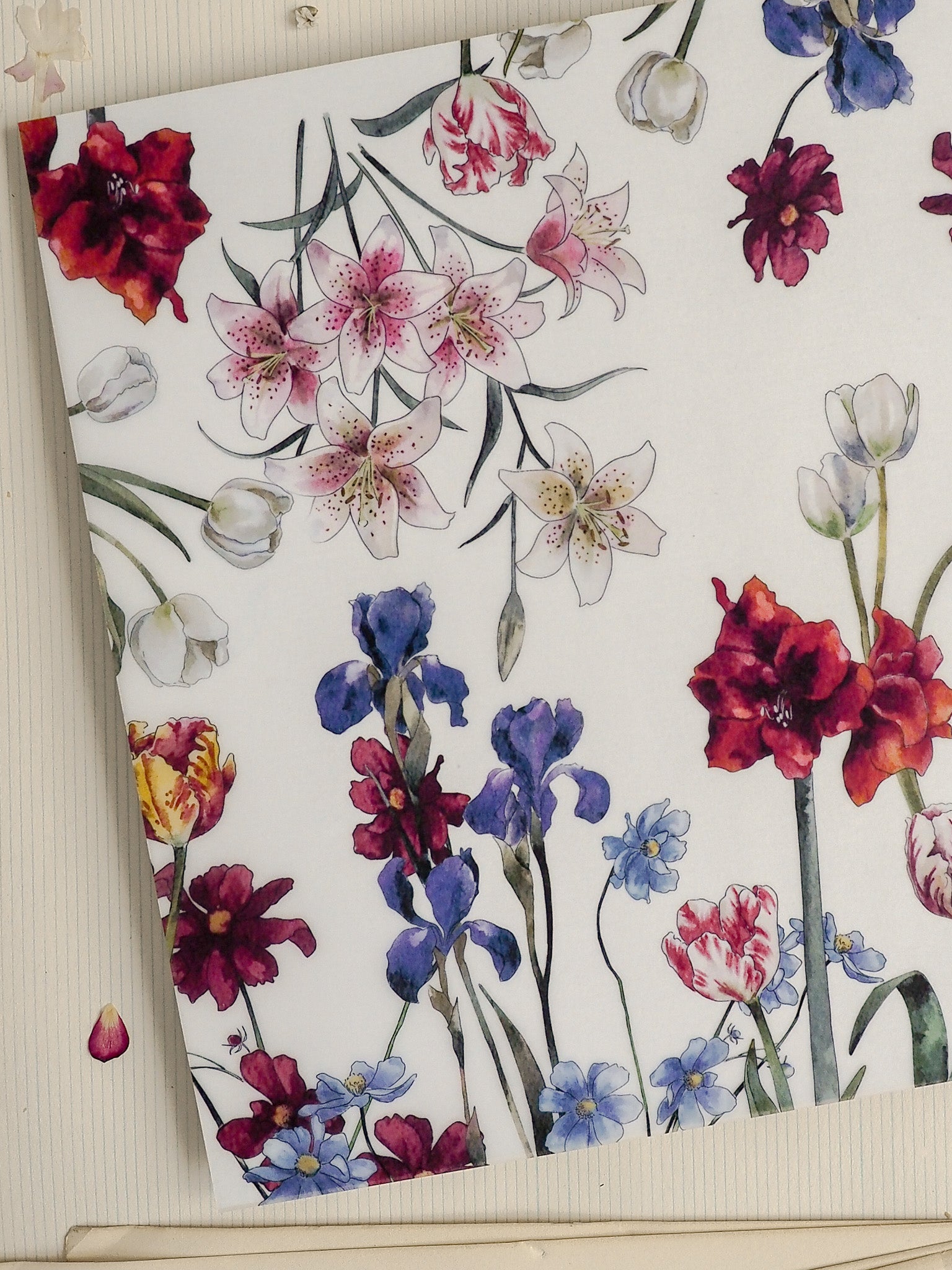 Watercolor floral pattern featuring an arrangement of deep crimson, soft lilac, white, and vibrant blue flowers with varied petal shapes.