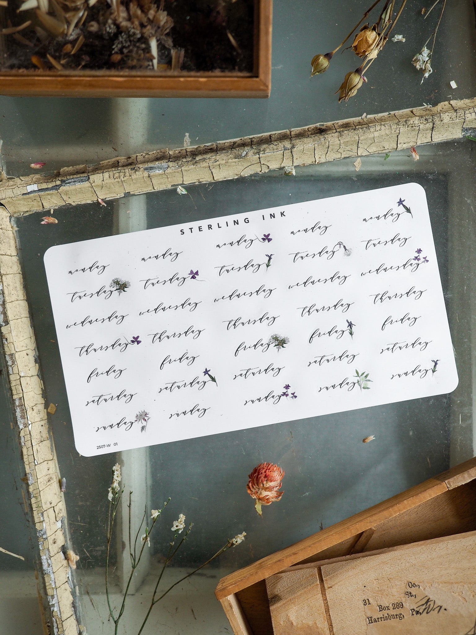 Decorative white planning stickers featuring black ink labels for all seven weekdays, ideal for organizing and tracking schedules for July 2025.
