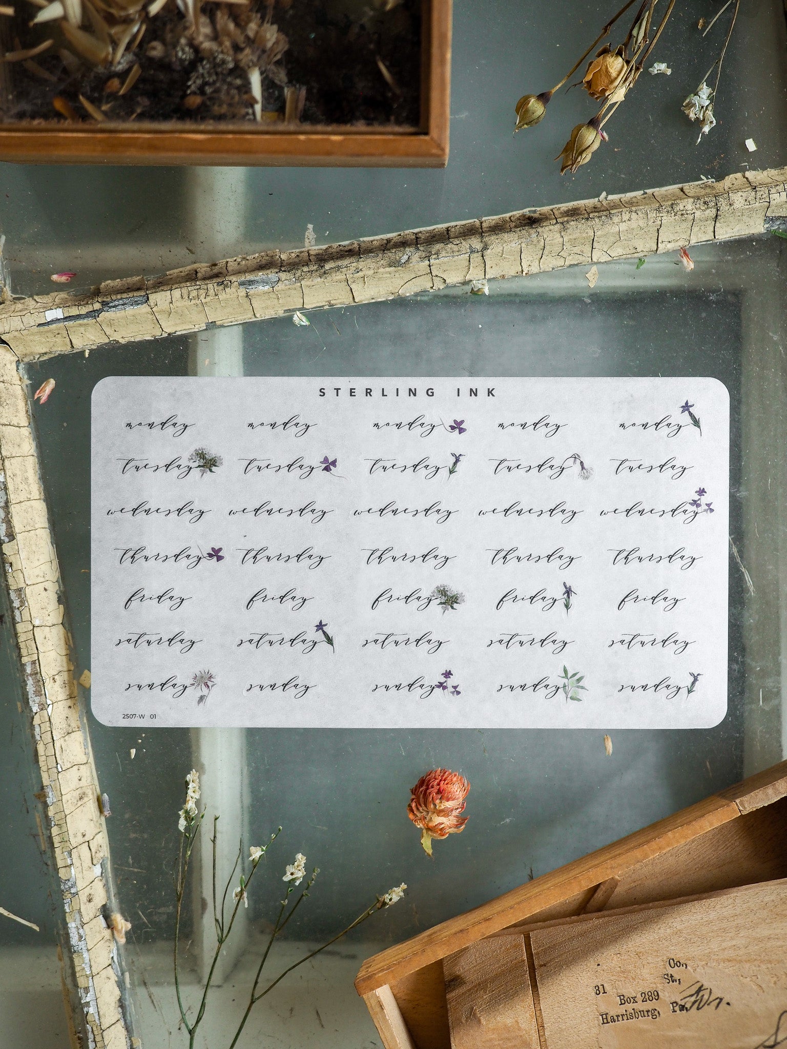 Weekly planner stickers on white paper, featuring decorative elements and organized text for scheduling dates and days of the week.