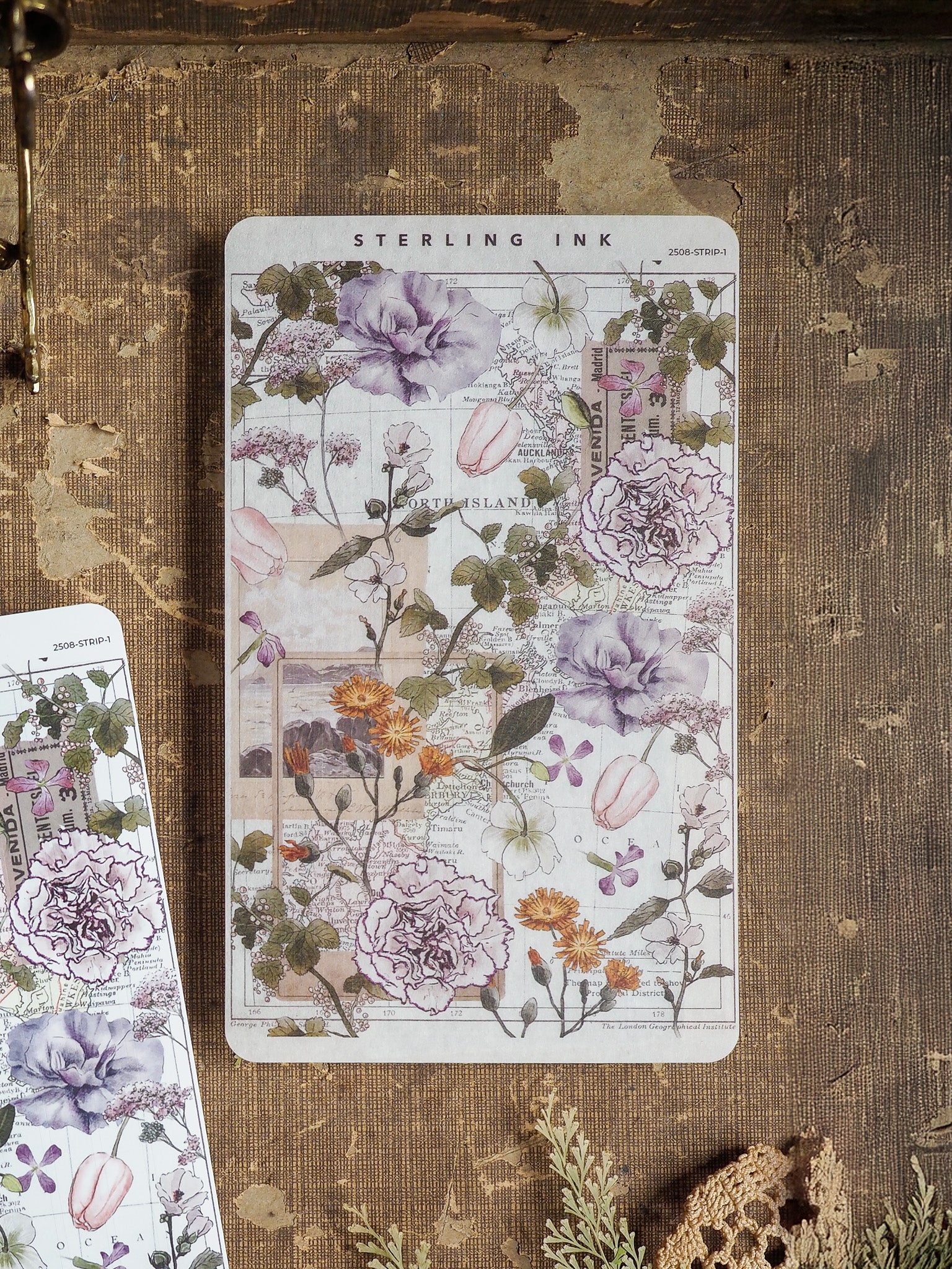 Vintage botanical thin strip stickers featuring detailed, colored illustrations of purple and pink wildflowers set against an antique scientific diagram background.