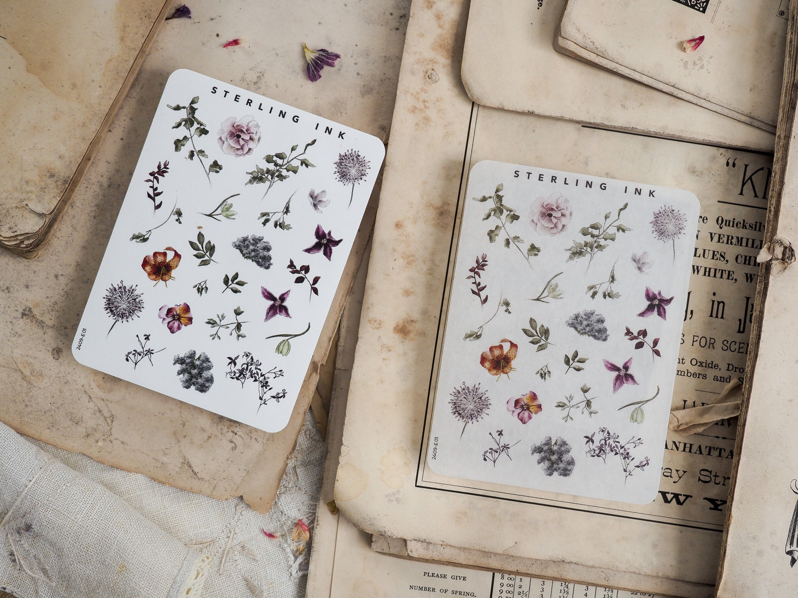 Botanical elements sticker sheet featuring detailed black and white botanical illustrations of leaves, flowers, and various natural elements from the Sterling Ink collection.