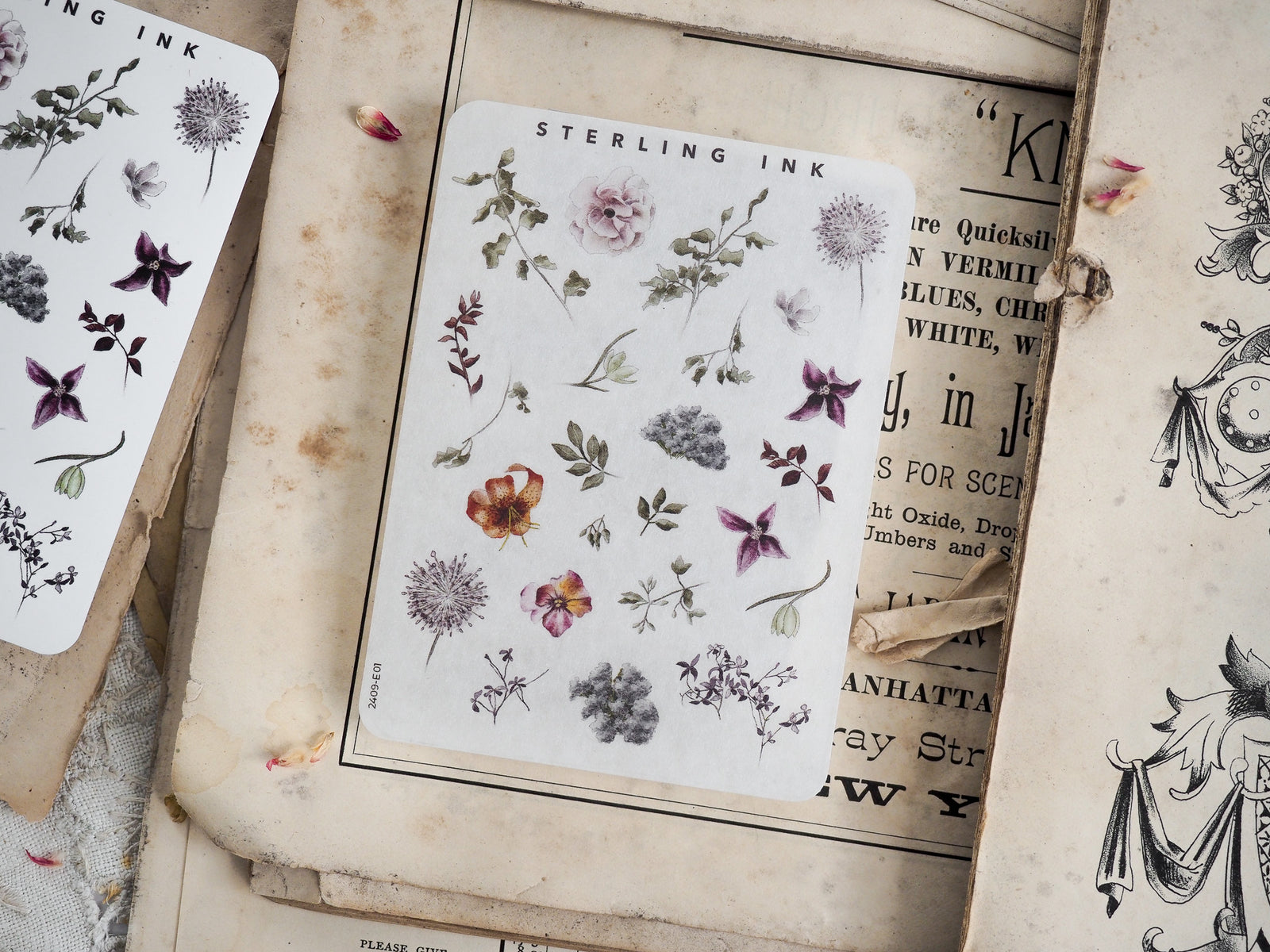 Botanical sticker sheet featuring delicate, muted illustrations of pressed elements, including various flowers, leaves, and natural botanical drawings.
