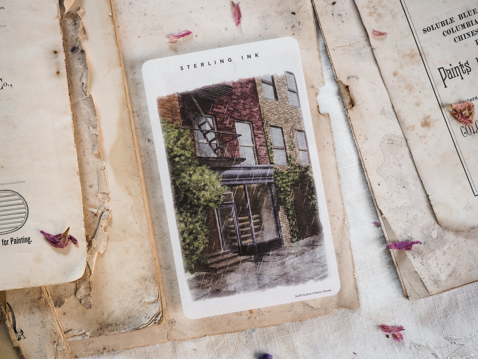 Vintage street art sticker depicting a cozy, ivy-covered brick building on a rainy day, featuring detailed architectural elements and rich, earthy greens.