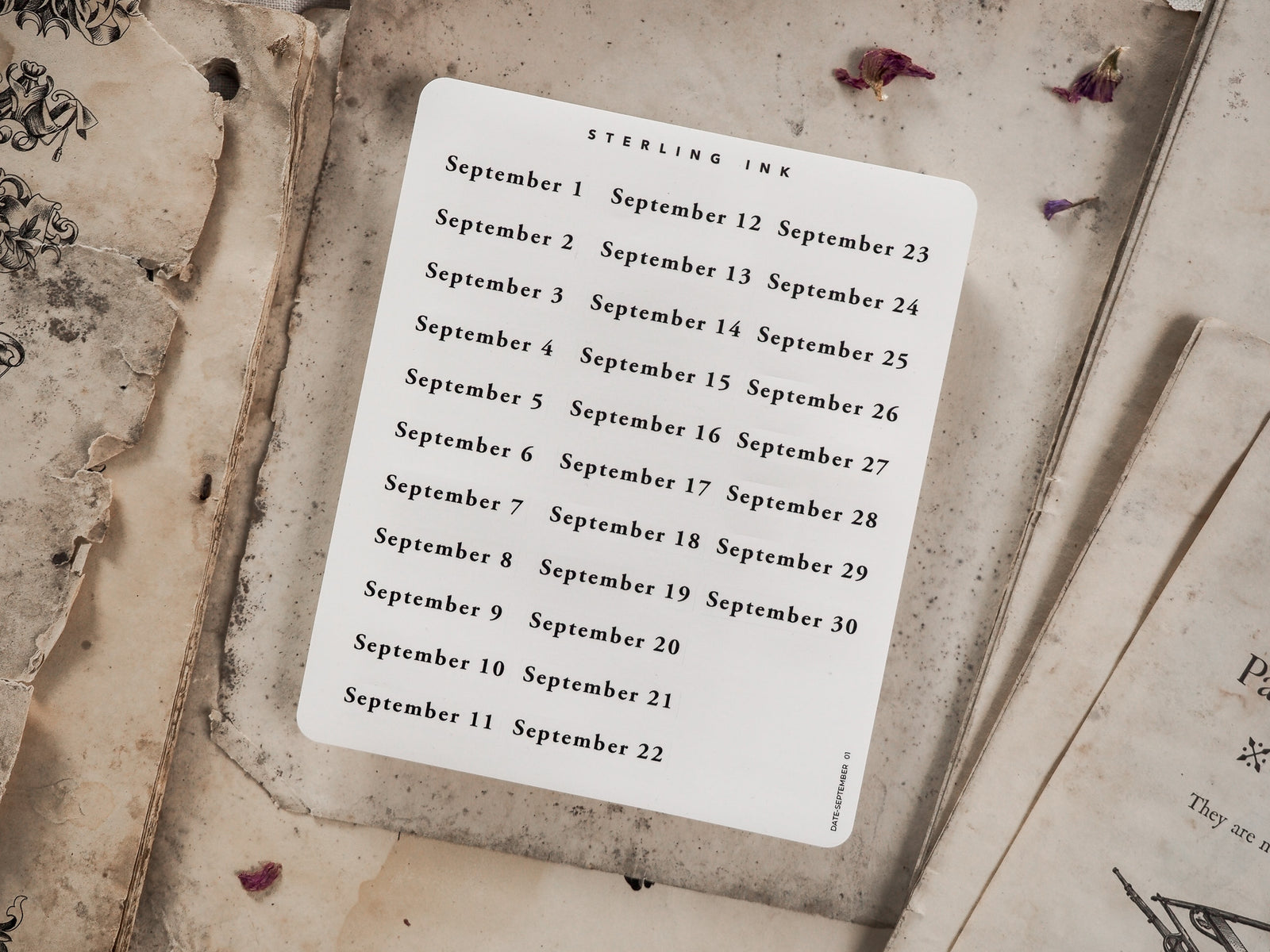 Detailed cream-colored sticker featuring a structured, vertical calendar layout listing all dates for September 2024, ideal for planners and journaling.