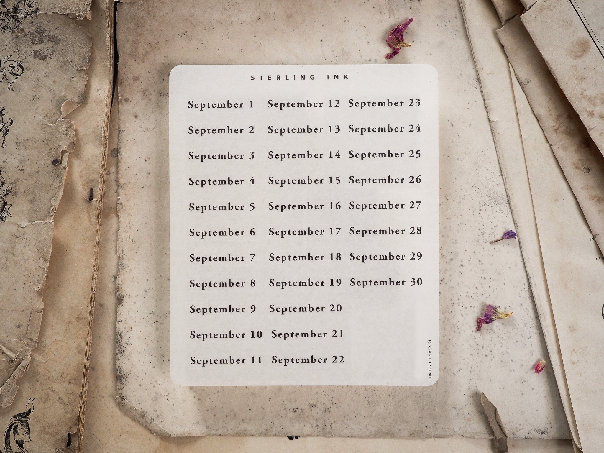 September Date Stickers - September 2024