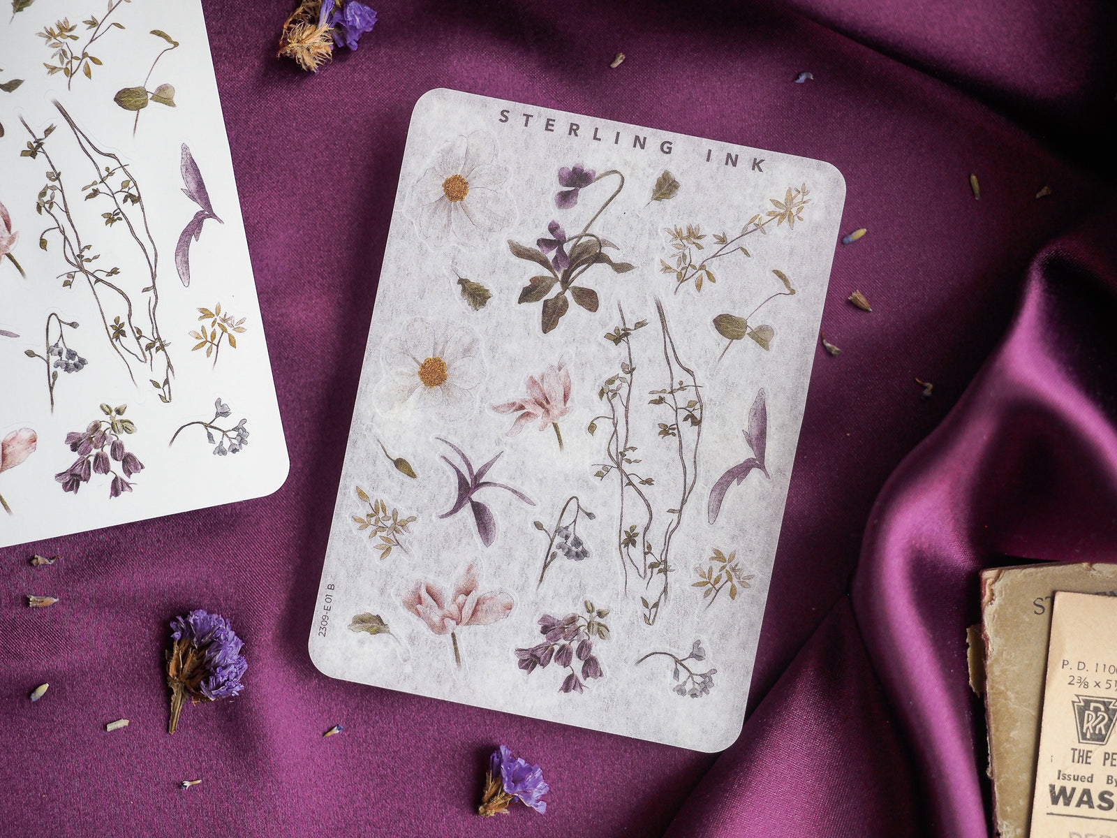 Elegant botanical sticker set featuring detailed engraved line art of leaves, stems, and flowers printed on a pale, antique cream background.