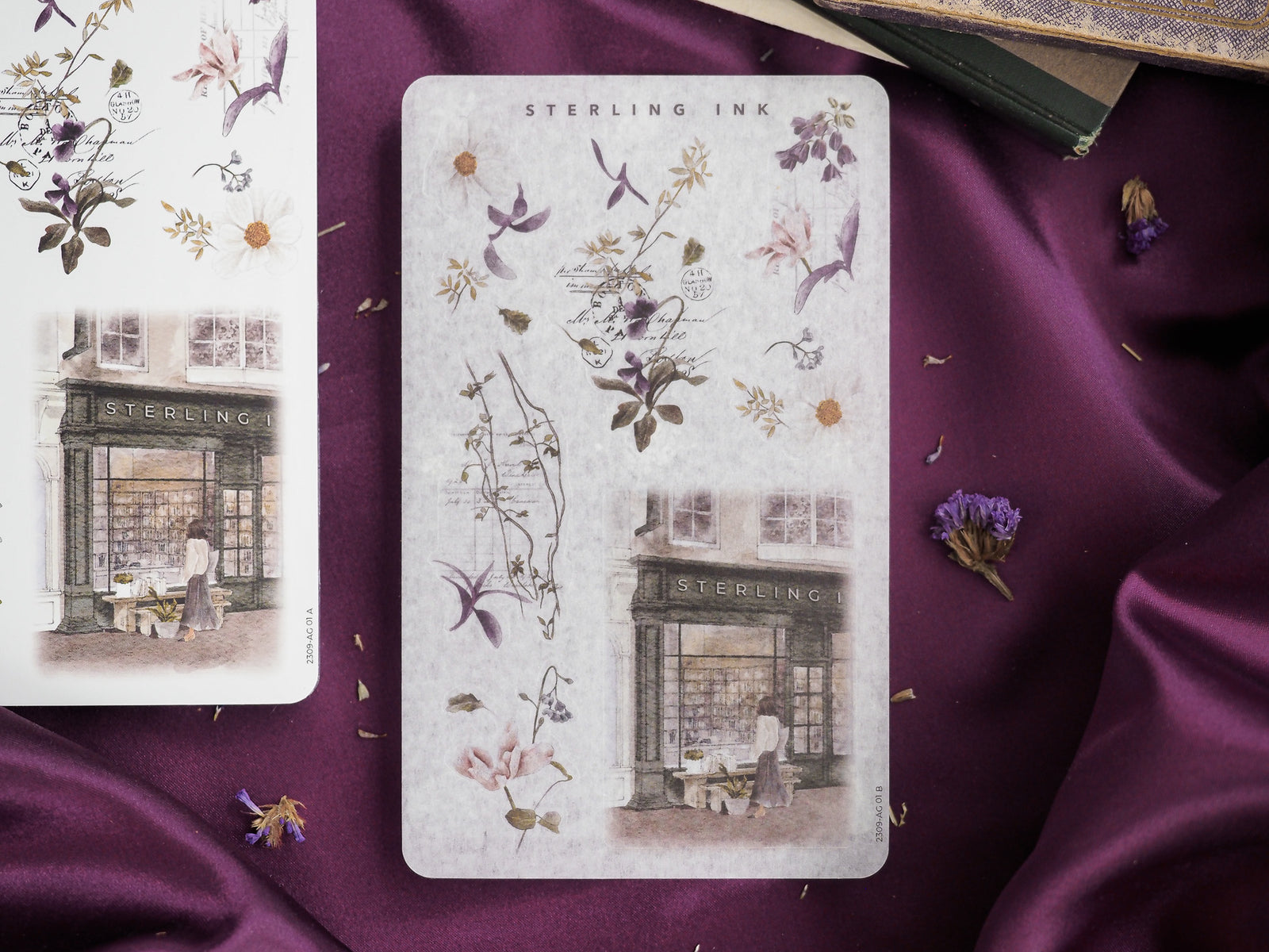 Vintage September sticker collection combining rustic botanical illustrations and charming sepia-toned shop window scenes.