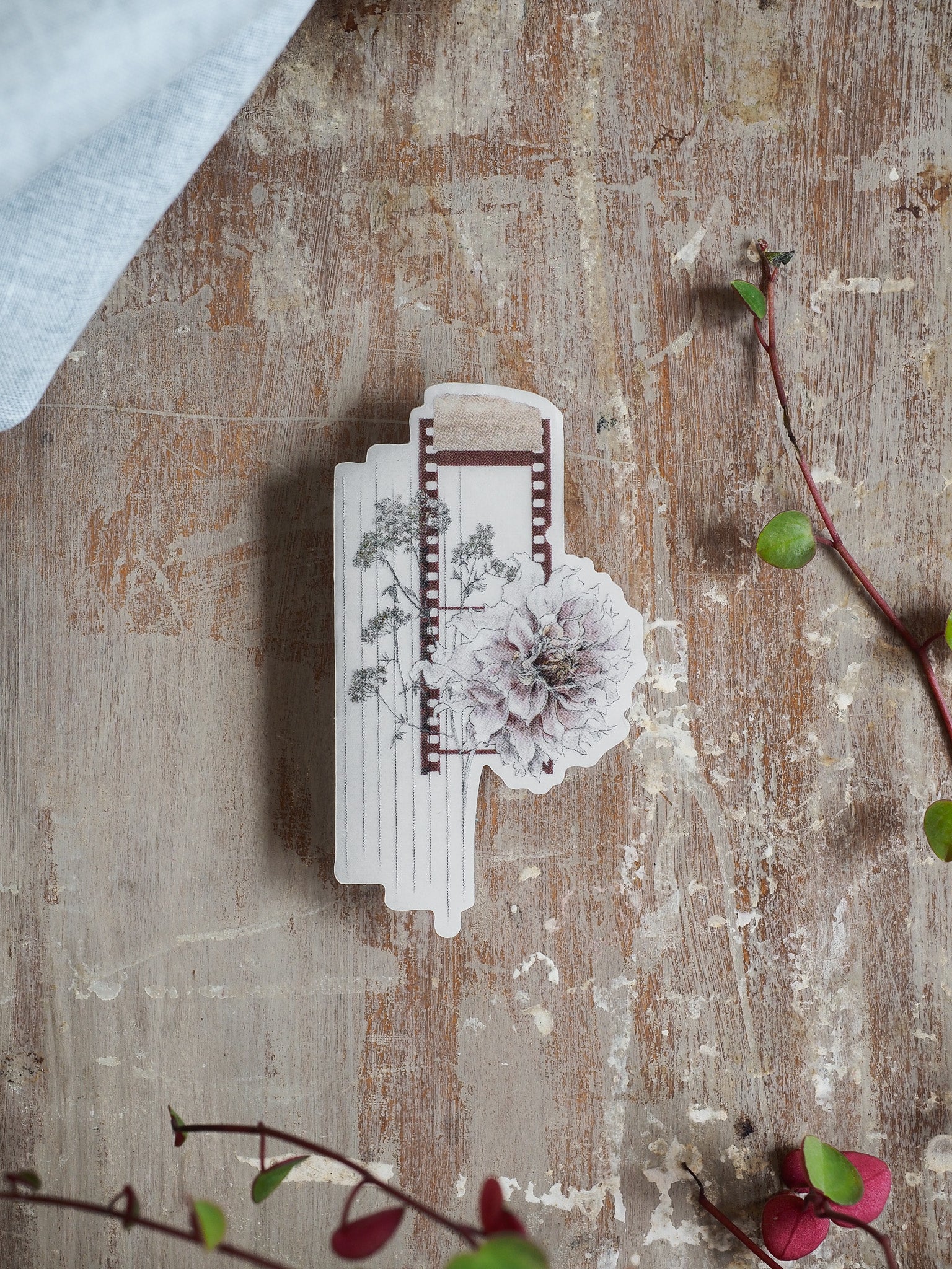 Vintage die-cut decal featuring a floral film reel design, showcasing delicate creamy peonies and lush botanical elements within a retro strip border.