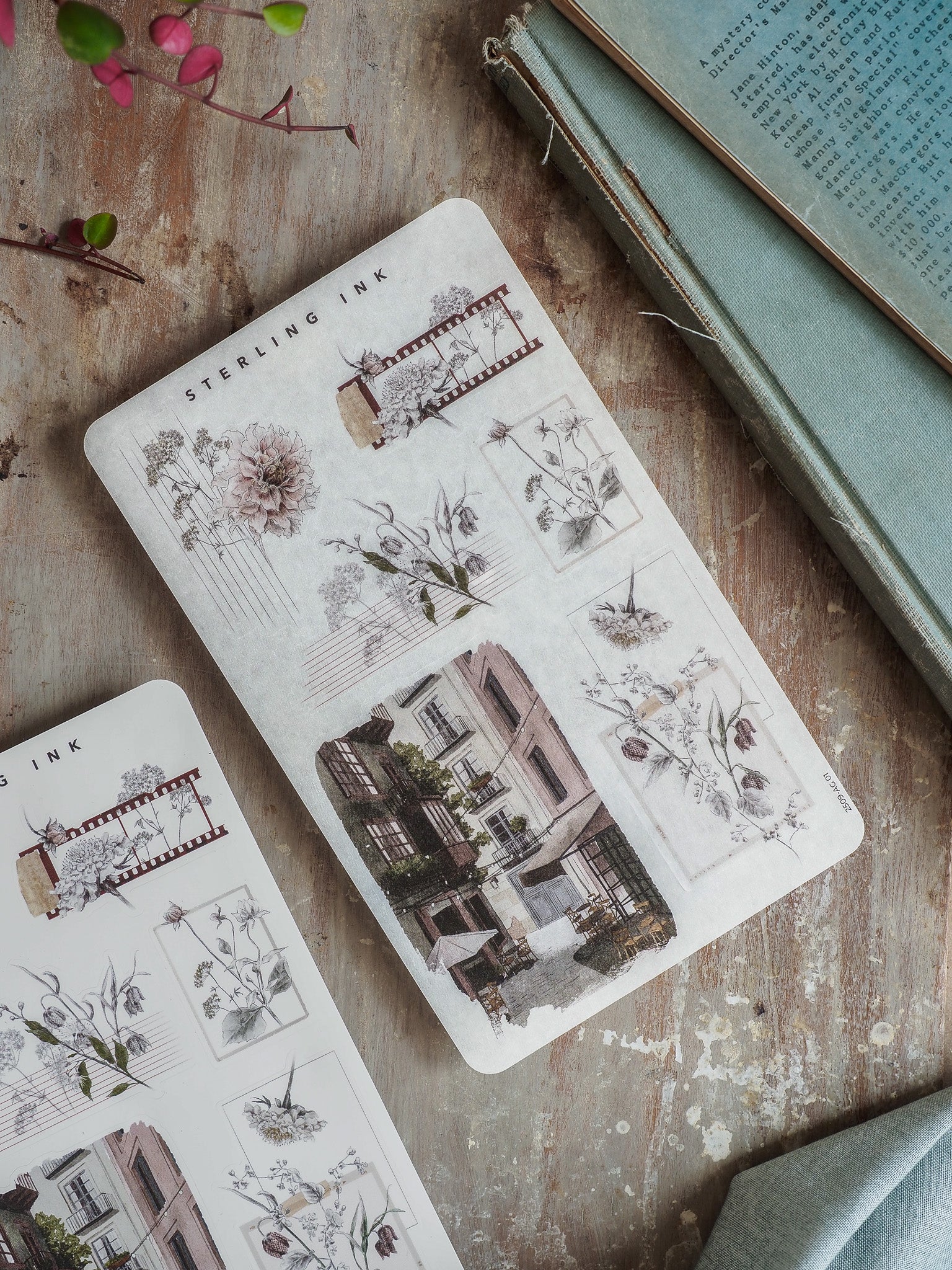 Vintage sticker sheets featuring intricate botanical arrangements and detailed black-and-white architectural sketches, perfect for journaling and crafting.