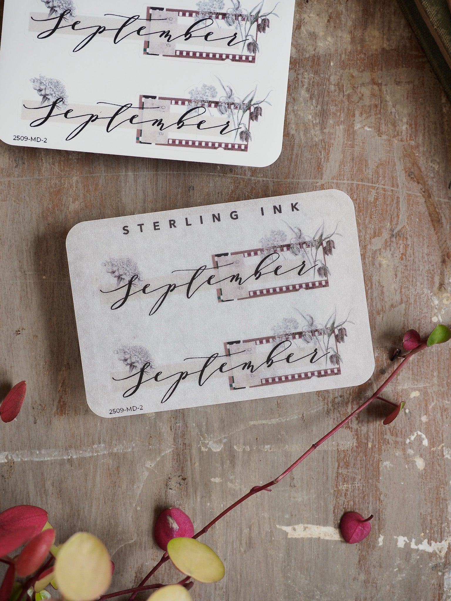 White planner stickers featuring "September" in graceful calligraphy, accented by a rustic, sepia-toned banner and delicate autumnal floral watercolor graphics.