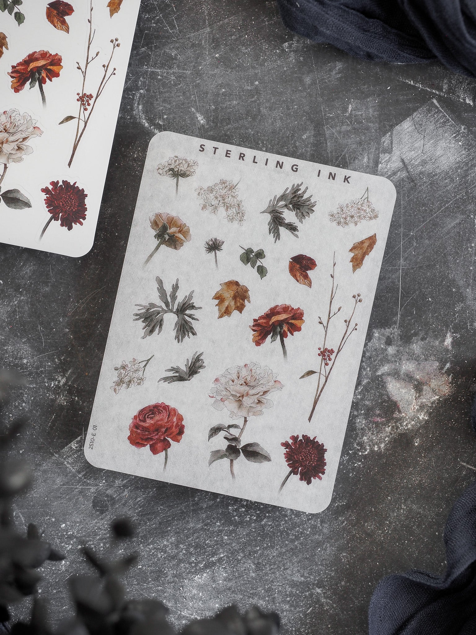 Botanical elements sticker set featuring rich autumn botanicals, including varied fallen leaves, deep red and cream flowers, and natural drawn foliage.