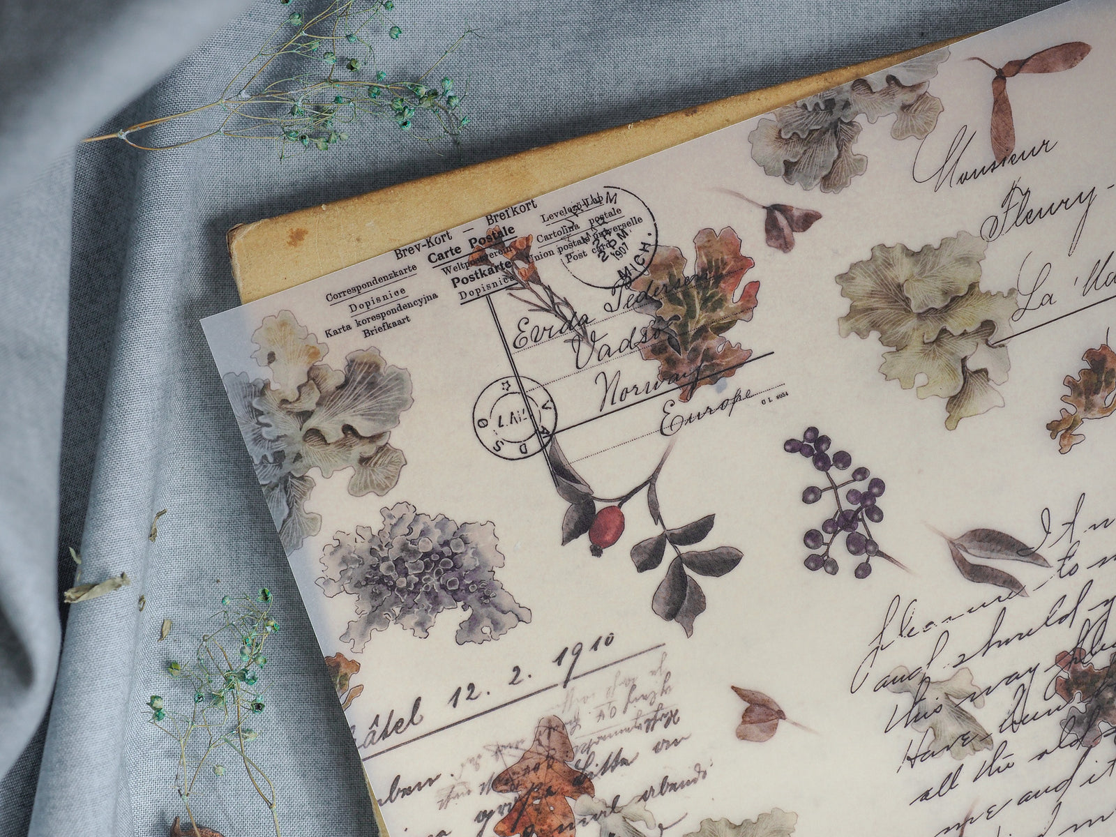Sepia-toned vintage journal paper featuring an antique design collage of European stamps, delicate botanical sketches, and aged handwritten script.