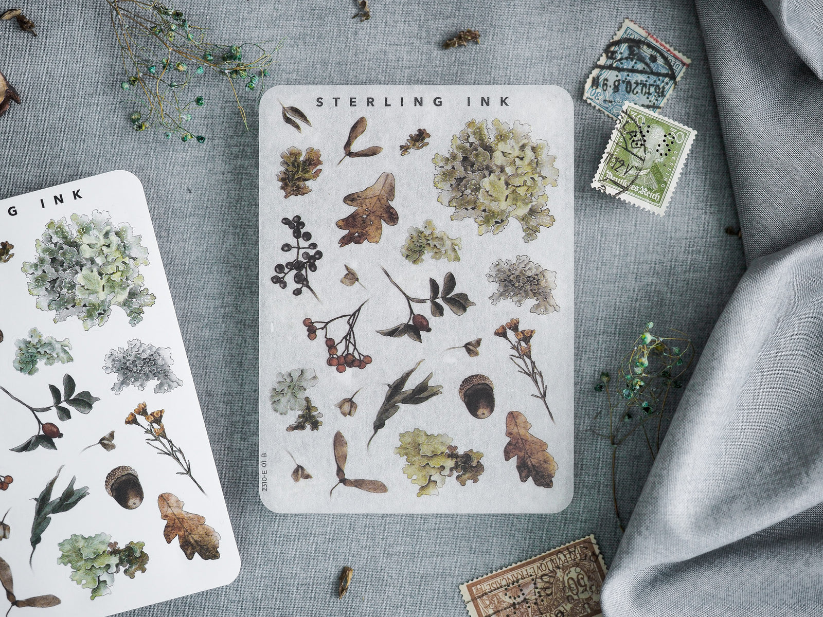 Sticker sheets depicting seasonal autumn elements, including detailed watercolor illustrations of dried leaves, clusters of berries, and earthy floral accents.
