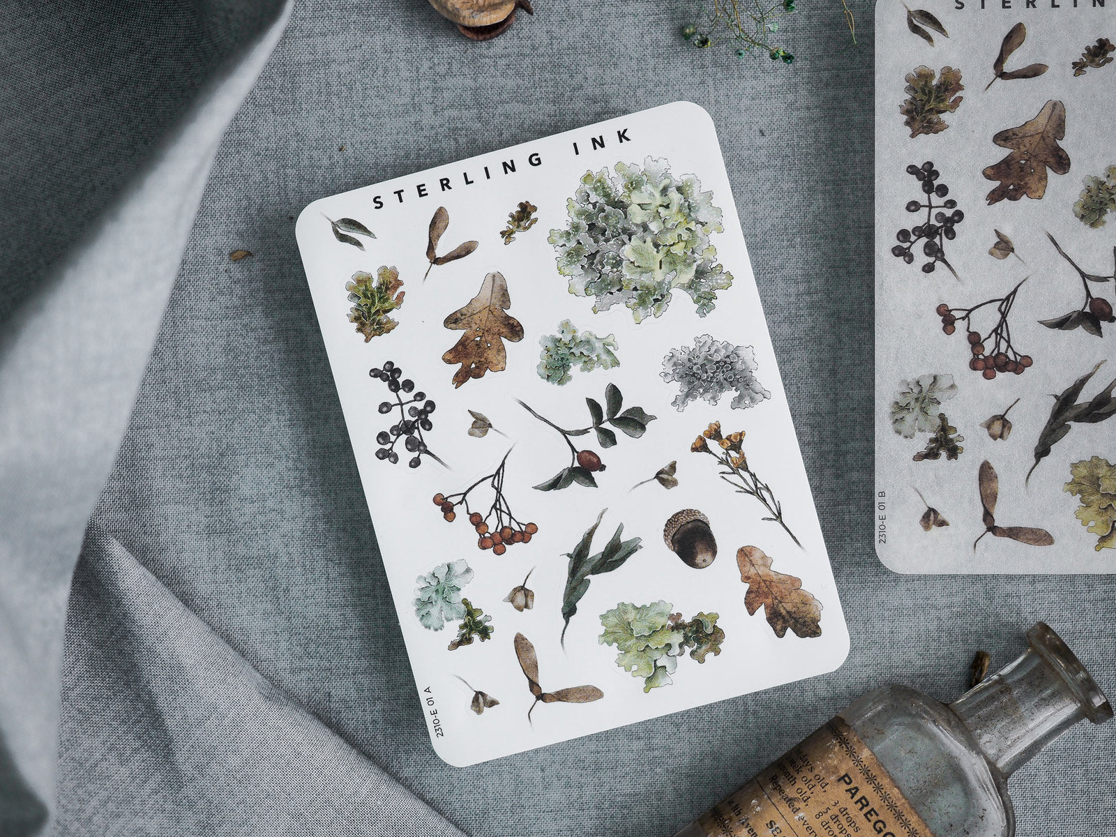 "Elements Stickers - October 2023" featuring a botanical arrangement of detailed stickers depicting autumn leaves, berries, and rustic natural elements.