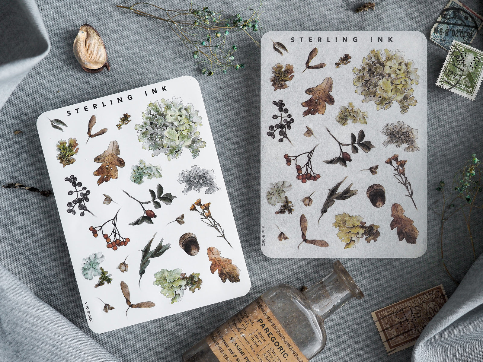 Seasonal botanical elements stickers featuring richly detailed watercolor illustrations of autumn leaves, small berries, and clustered flora.