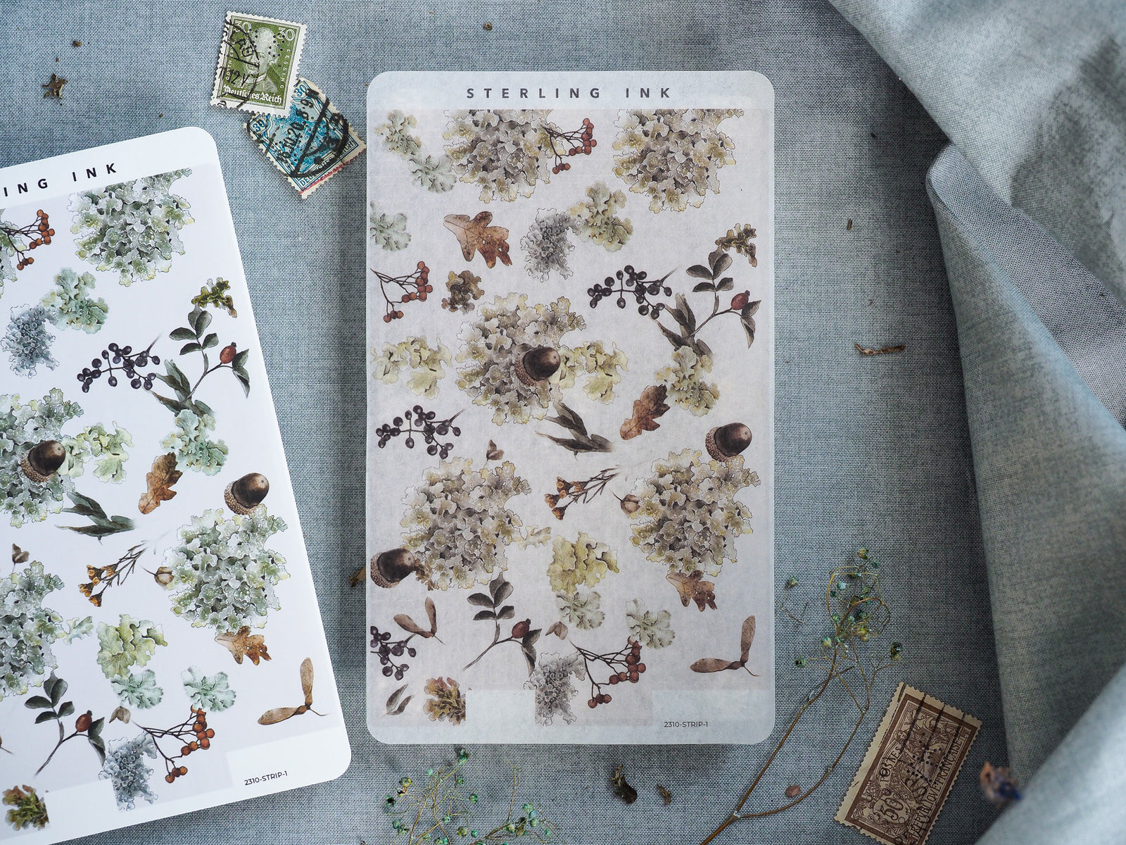 Elegant Thin Strip Stickers - October 2023, featuring vintage botanical illustrations of muted dried flowers, leaves, and autumnal berries.