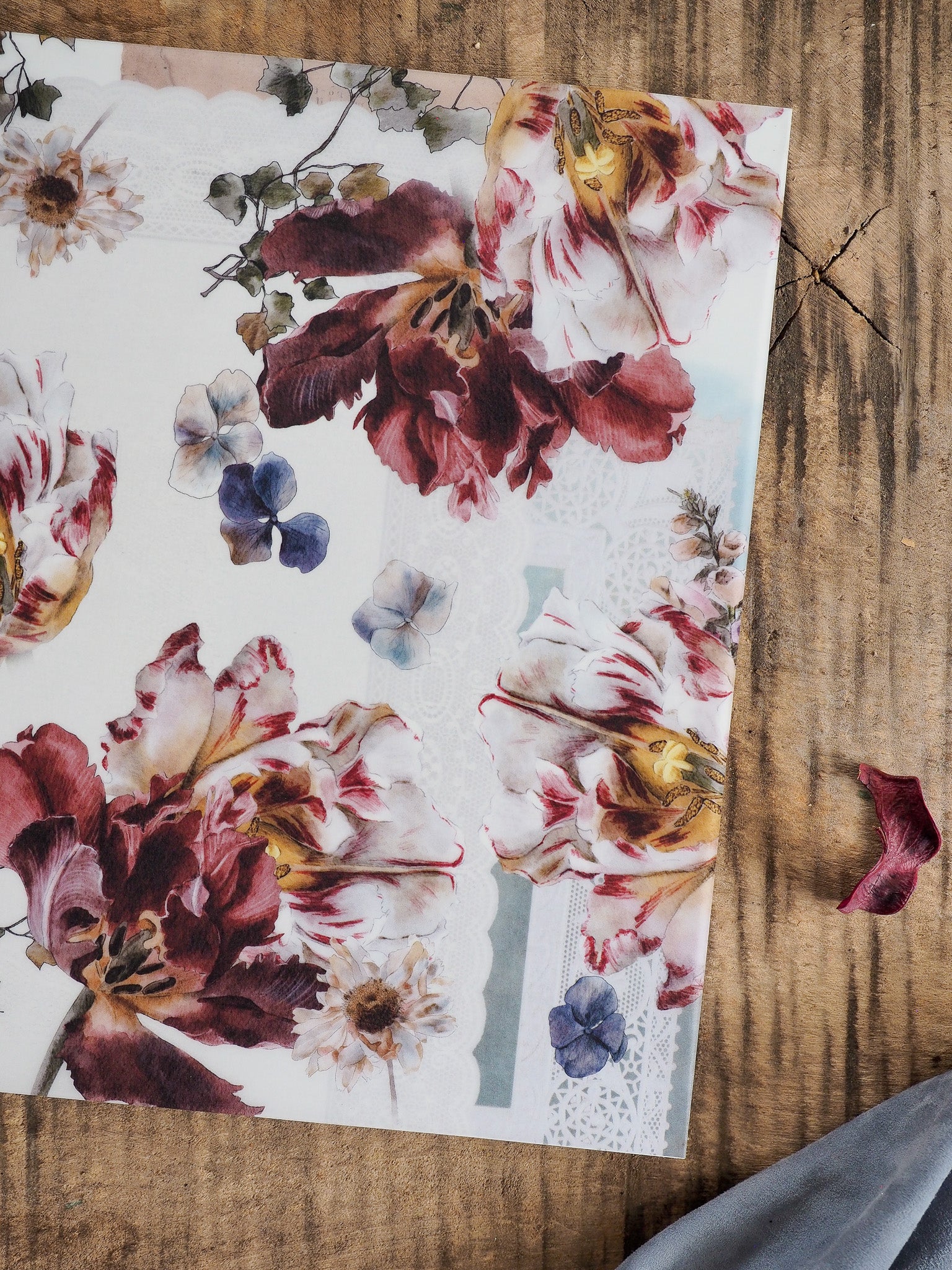 Rich watercolor floral pattern of burgundy and cream roses, accented with dusty blue filler flowers, labeled 'Vellum - November 2025'.