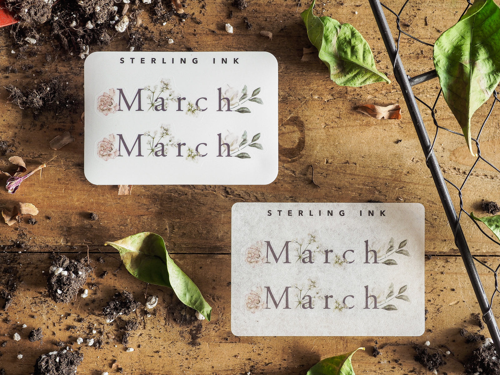 Minimalist "March" month sticker set featuring the word on creamy white card stock and accented with delicate green watercolor leaf drawings.
