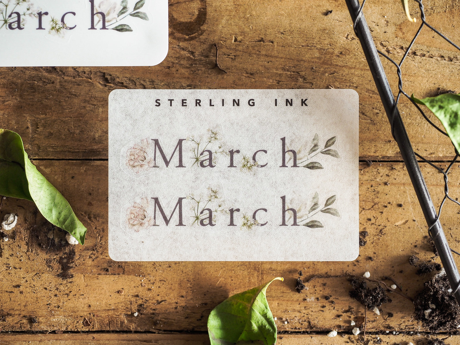 Elegant cream sticker reading "March" twice, featuring a distressed, romantic botanical wreath design with soft green sepia accents for seasonal planning.