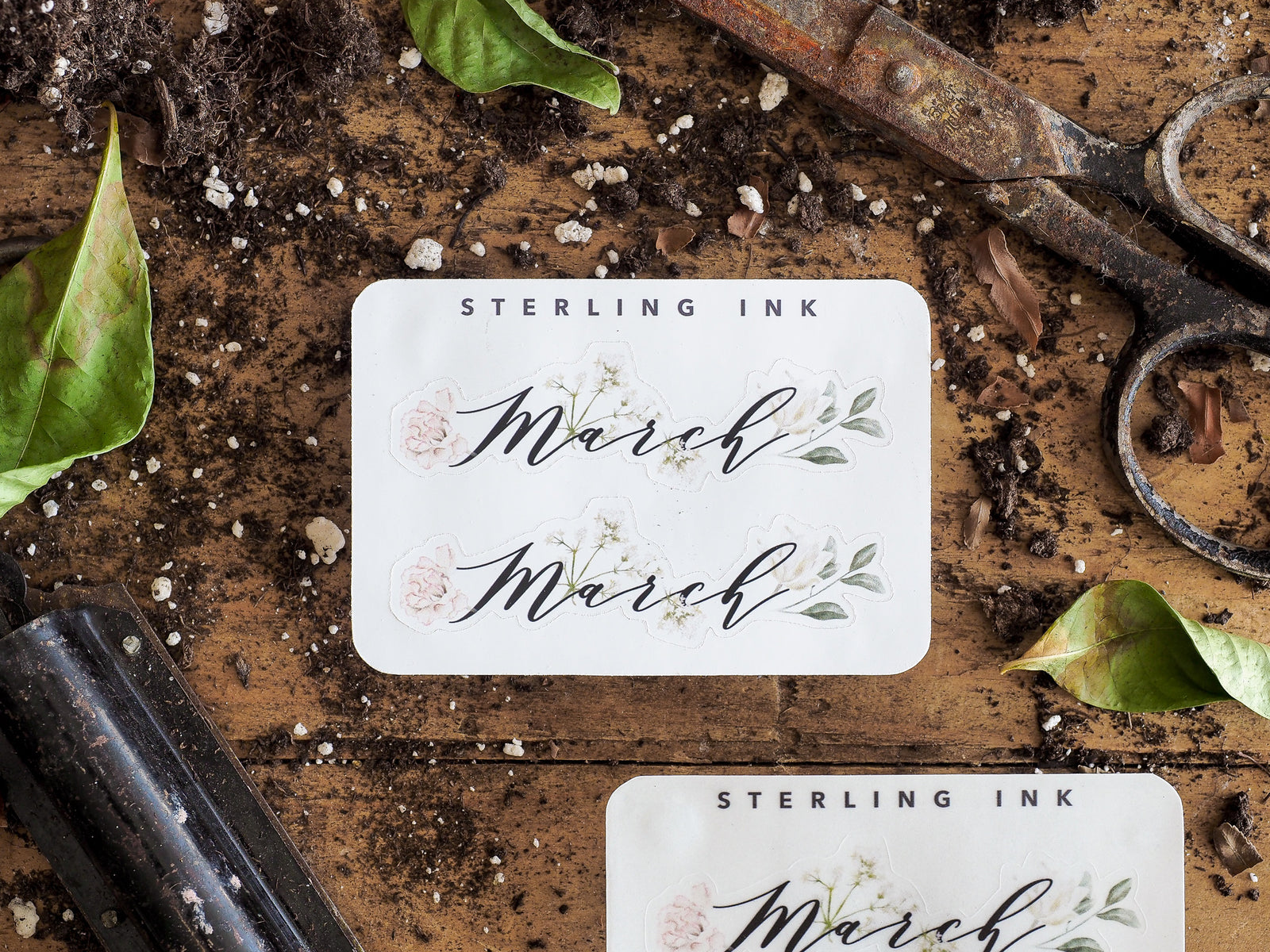 Elegant white March month sticker featuring delicate pink and green watercolor floral illustrations and sophisticated cursive script for planners and scrapbooking.