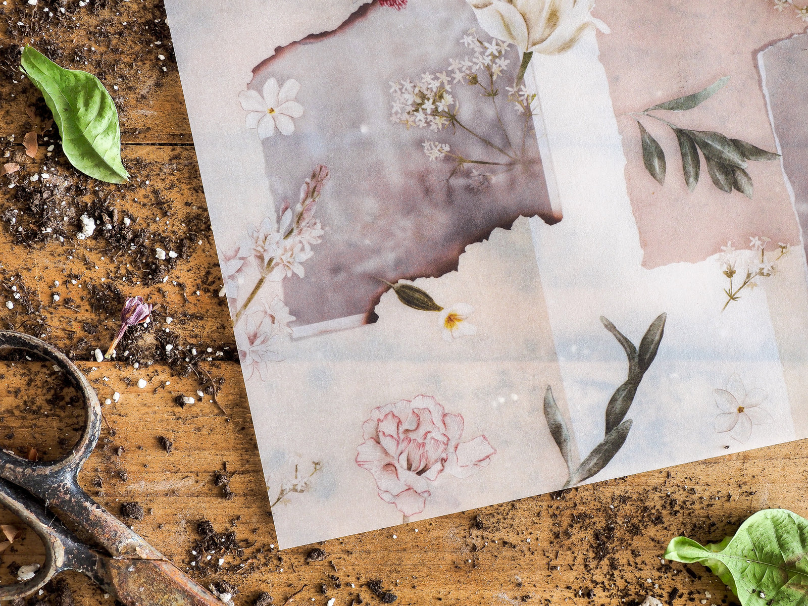 Decorative vellum featuring a soft botanical collage of pale pink blossoms, creamy watercolor flowers, and delicate sage green foliage.