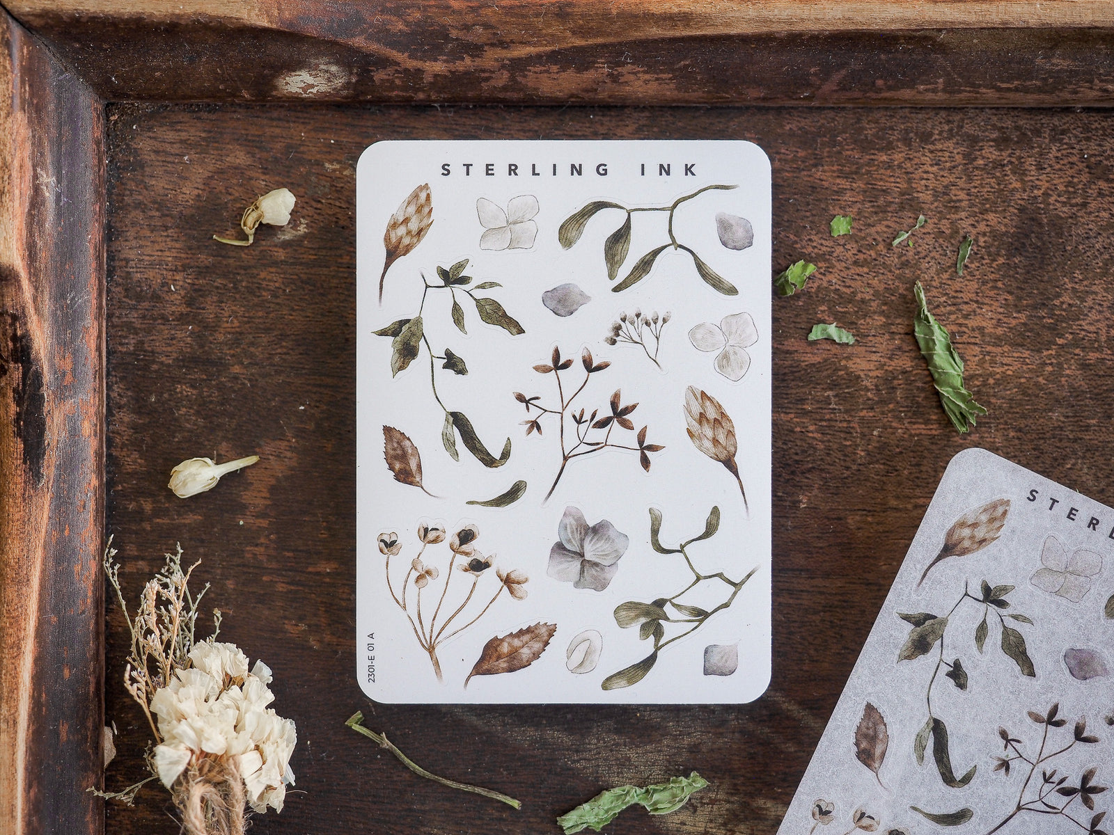 Watercolor sticker sheet featuring delicate, natural botanical elements like leaves, sprigs, and small flowers, ideal for crafting and journaling.