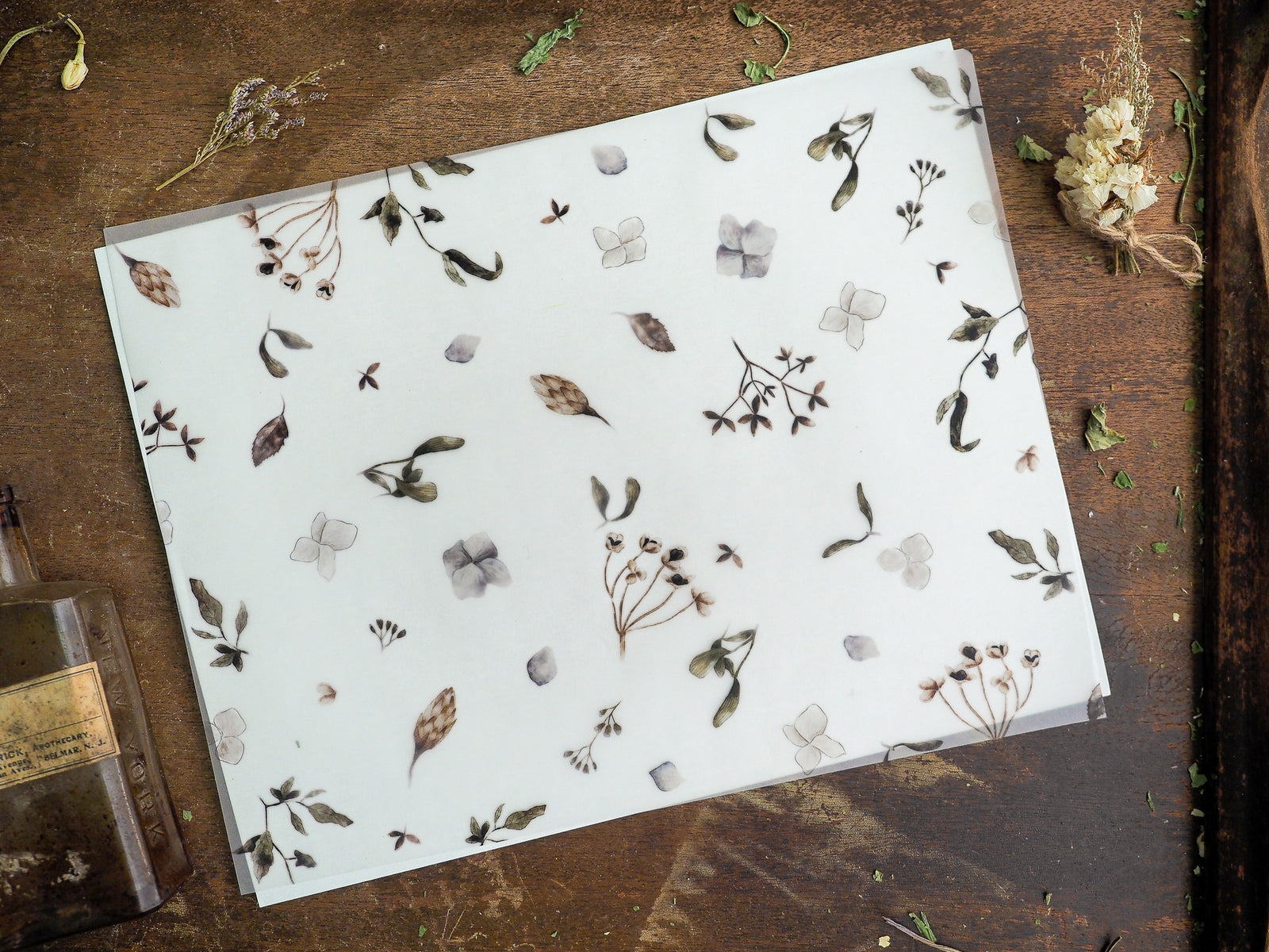 Delicate botanical sheet featuring a sparse, antique pattern of brown and gray illustrations of dried leaves, small flowers, and fragile plant stems.