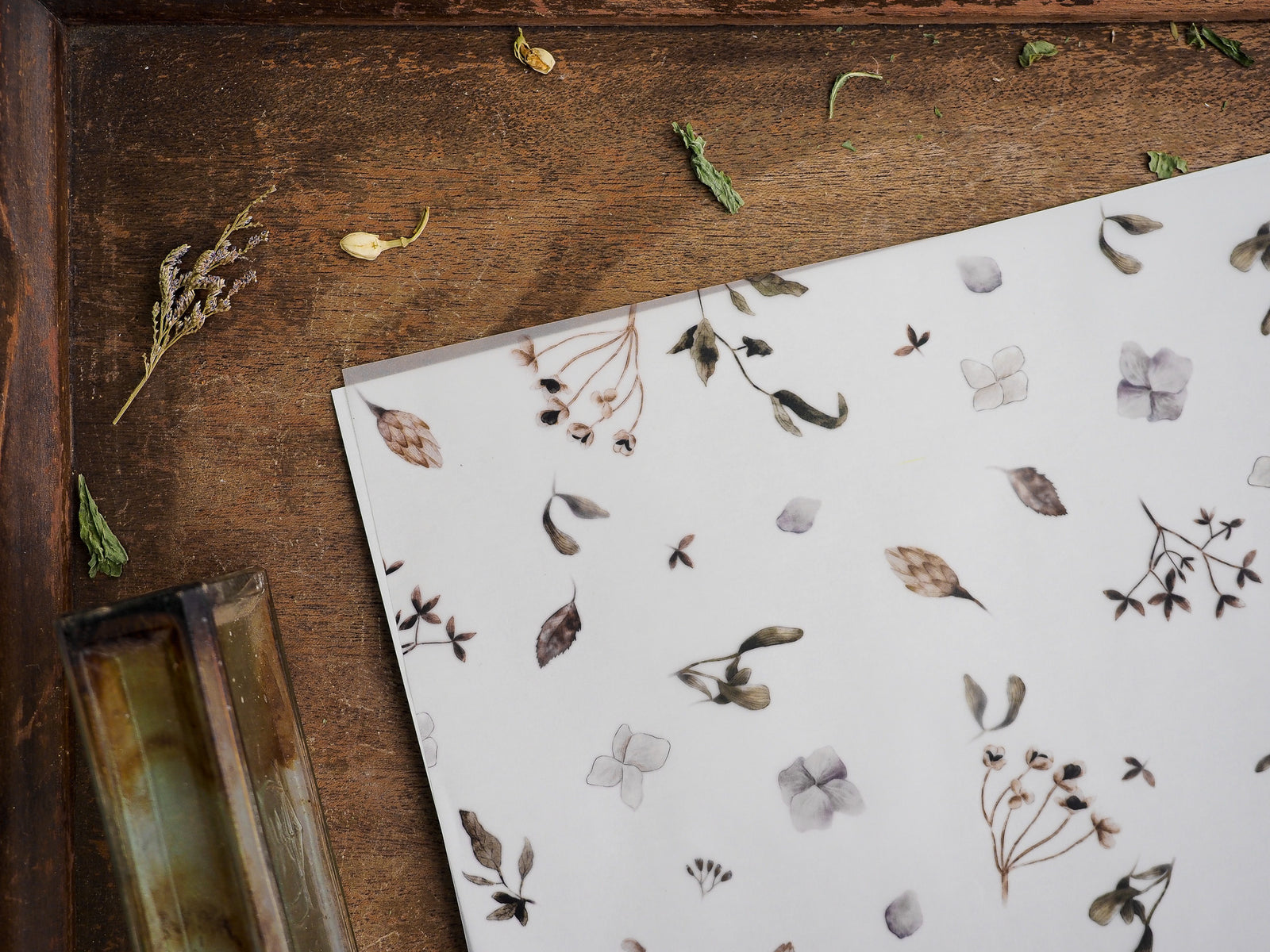 Earthy vellum sheet featuring a delicate, scattered botanical print of dried foliage, small flowers, and stems in muted brown and gray tones.