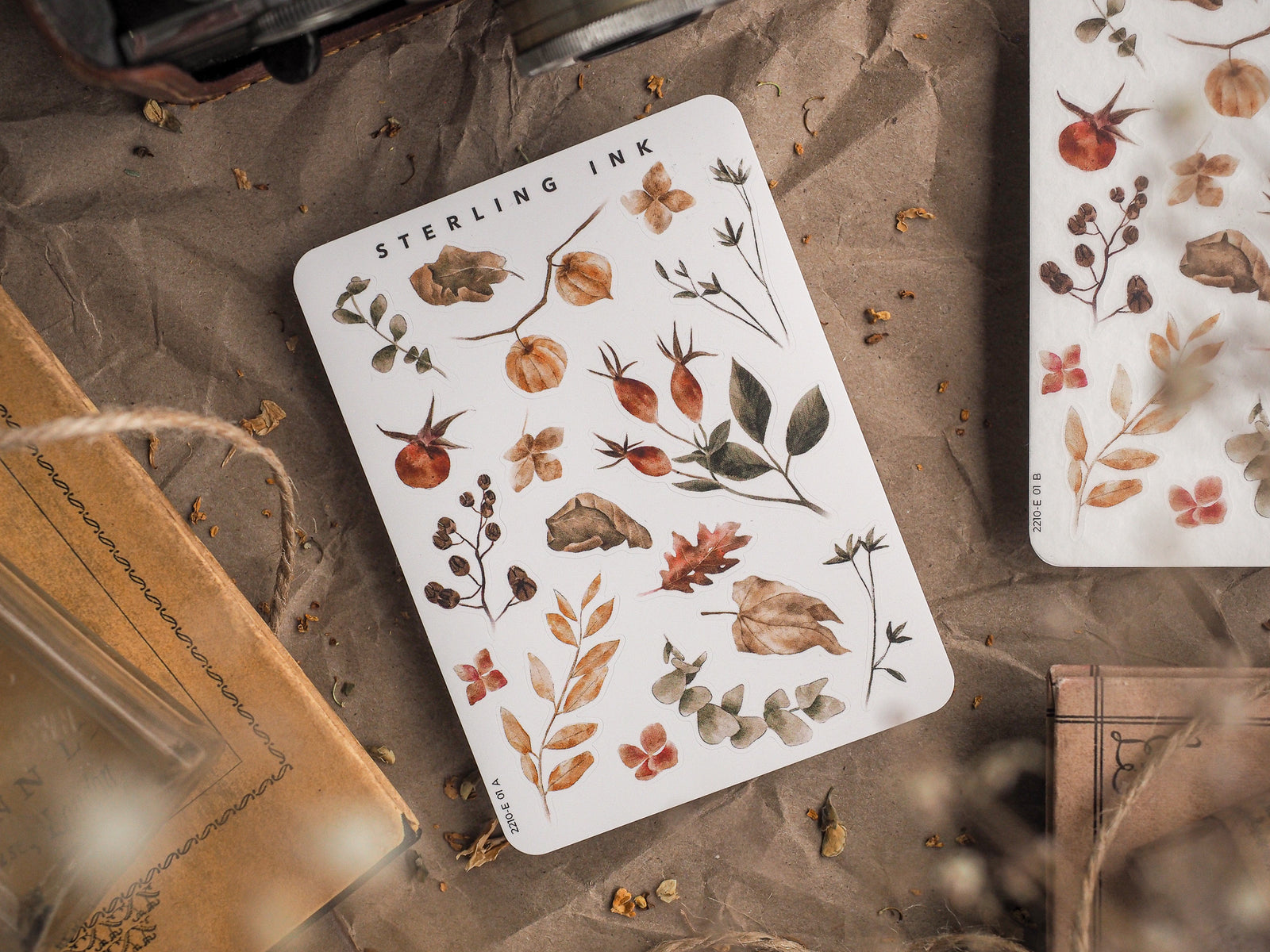Autumn botanical elements sticker sheet featuring detailed illustrations of fall leaves, berries, acorns, and natural seasonal foliage perfect for journaling and scrapbooking.