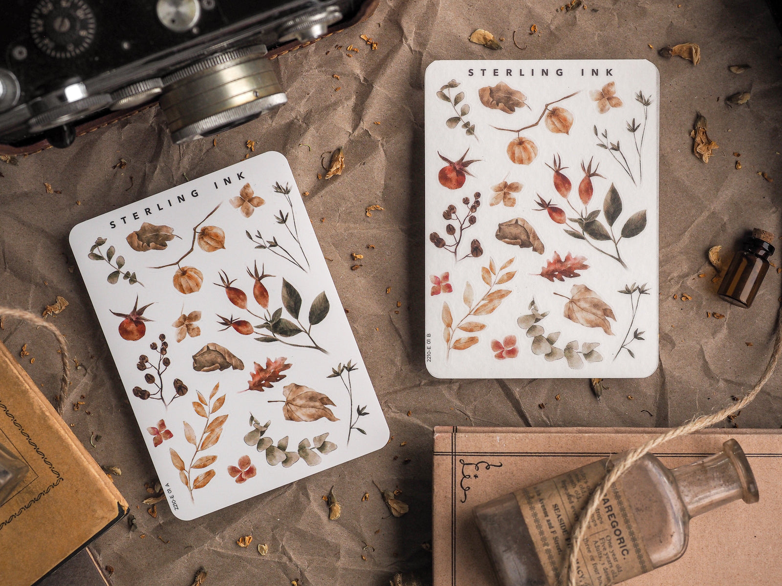 Botanical sticker set featuring a delicate pattern of autumnal elements, including rust-colored leaves, berries, and seed pods, printed on clean white paper.
