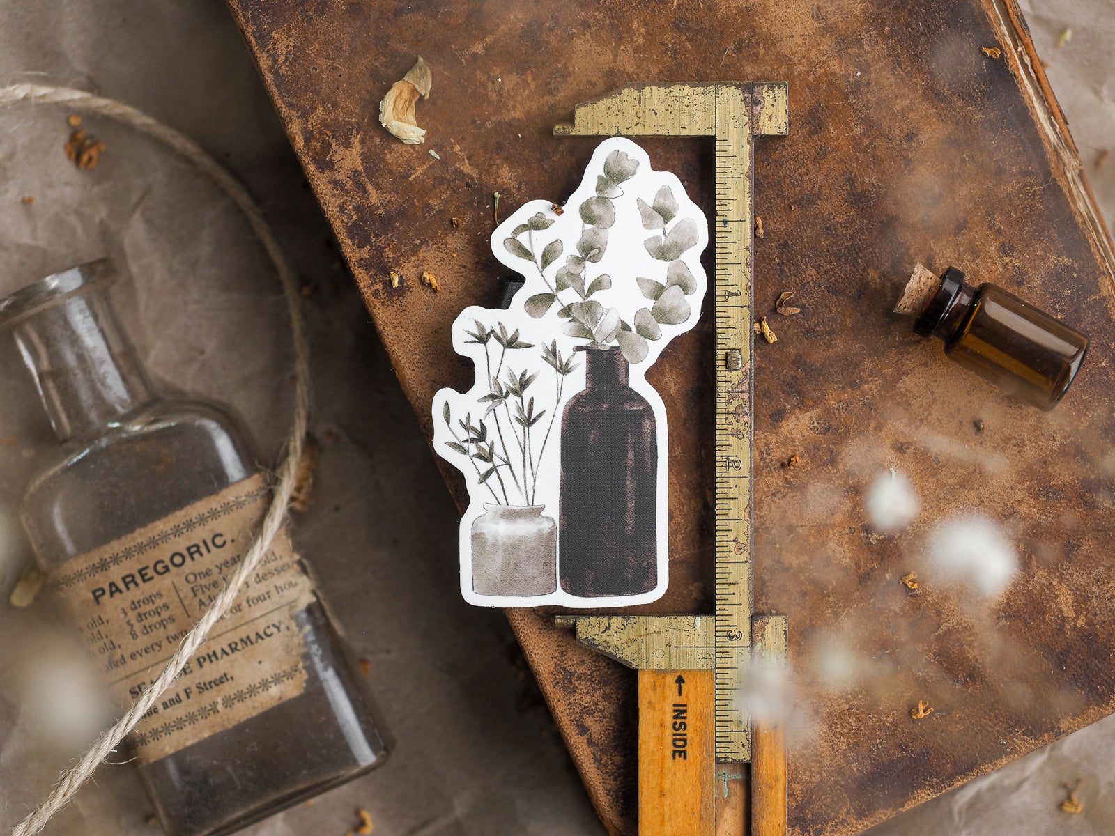 Black and white botanical vinyl stickers featuring vintage apothecary bottles and clustered autumn foliage for seasonal crafting and journaling.