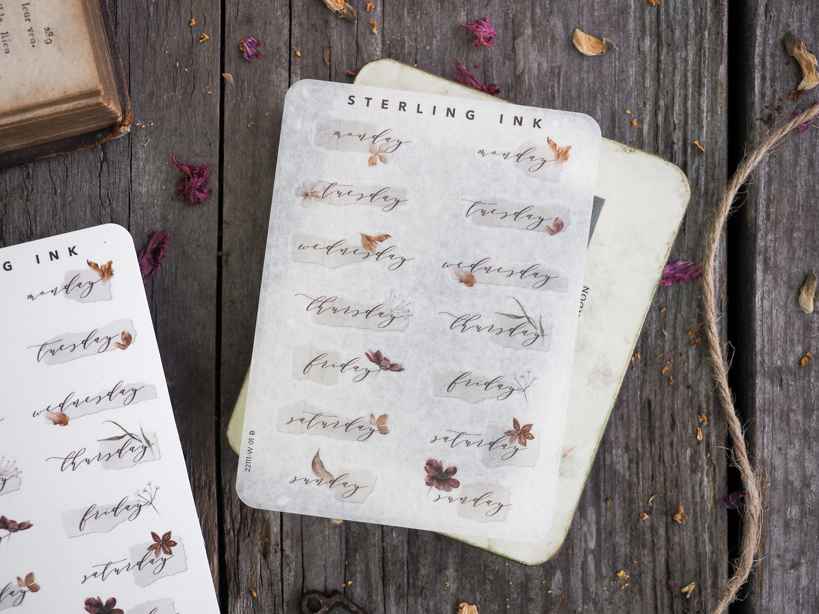 Delicate sticker set featuring handwritten days of the week and accompanying sepia-toned botanical illustrations, perfect for journal planning.