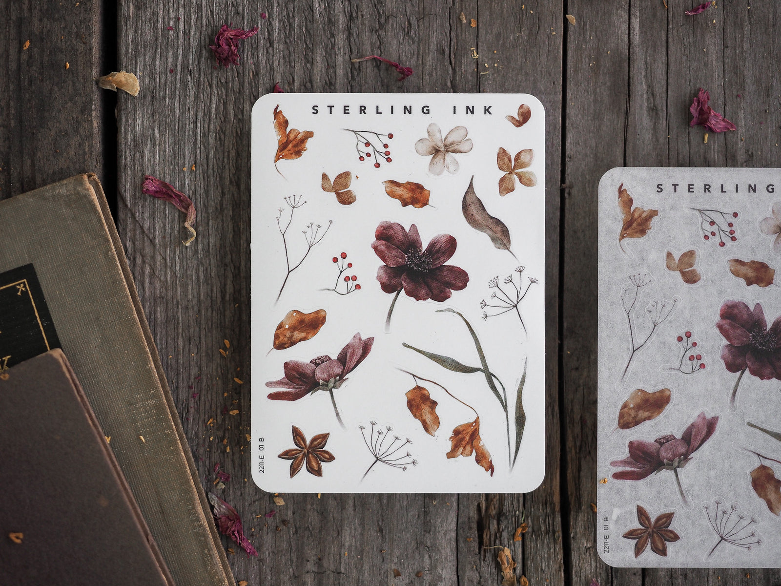 Autumnal botanical elements sticker sheet featuring detailed illustrations of dried flowers, leaves, and natural motifs in rustic brown and deep burgundy tones.