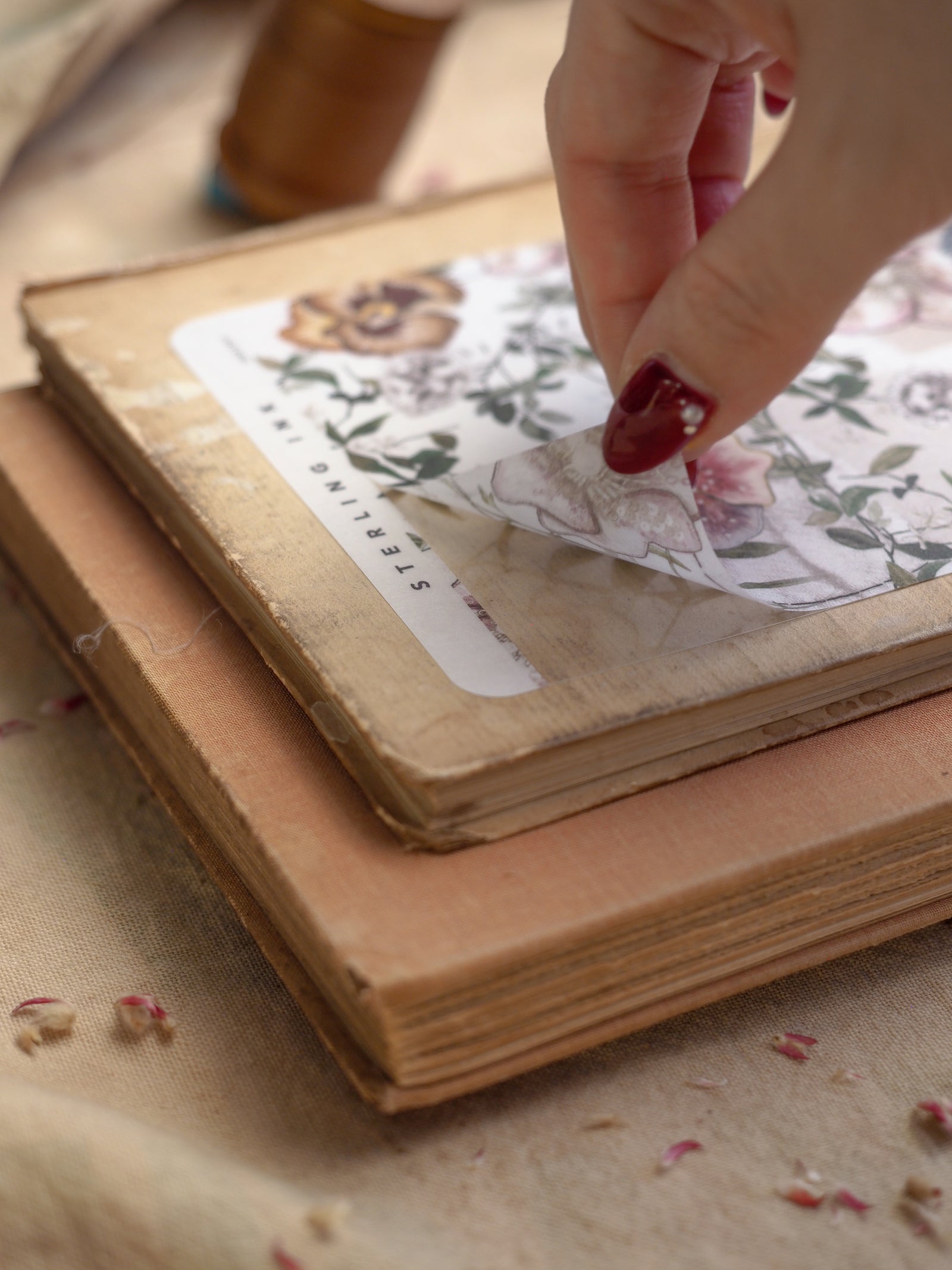 Delicate botanical deco sheet with a vintage floral pattern, featuring muted roses and greenery, designed for journaling or crafting in February 2025.